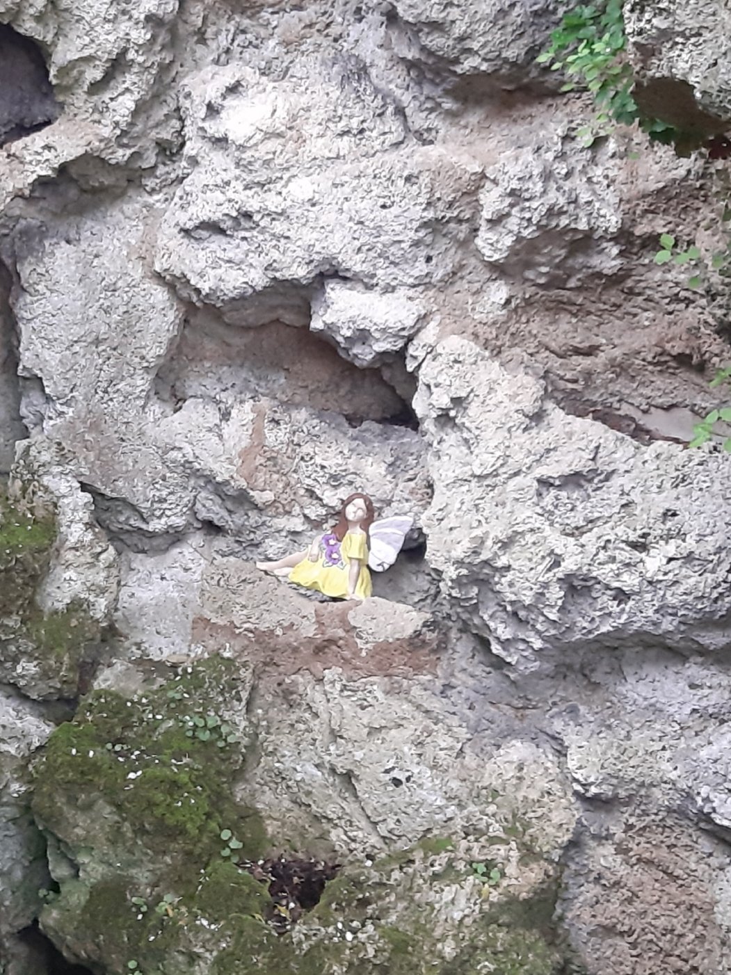 Away with the fairies