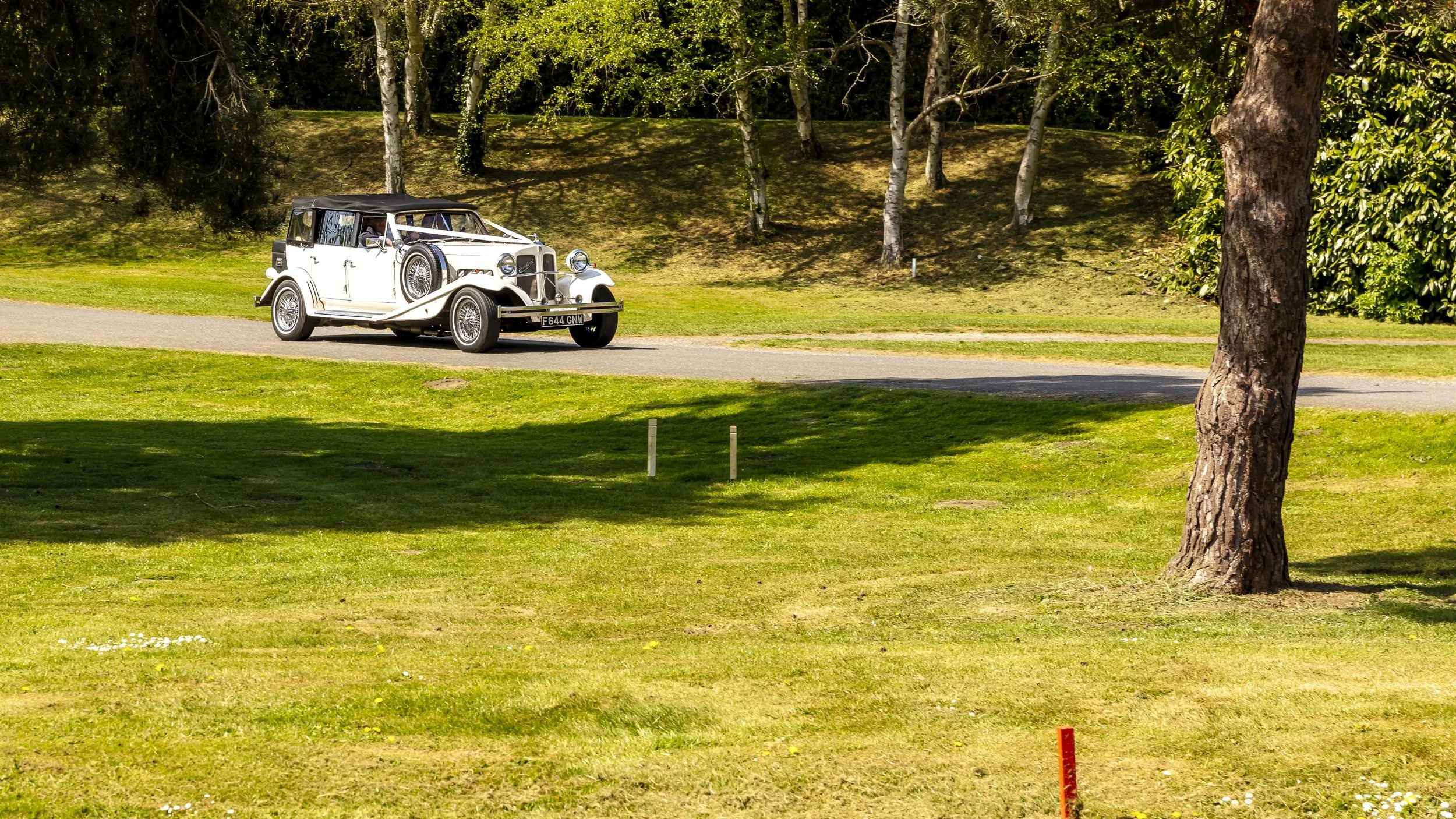 Shelby and James - 0412.jpg