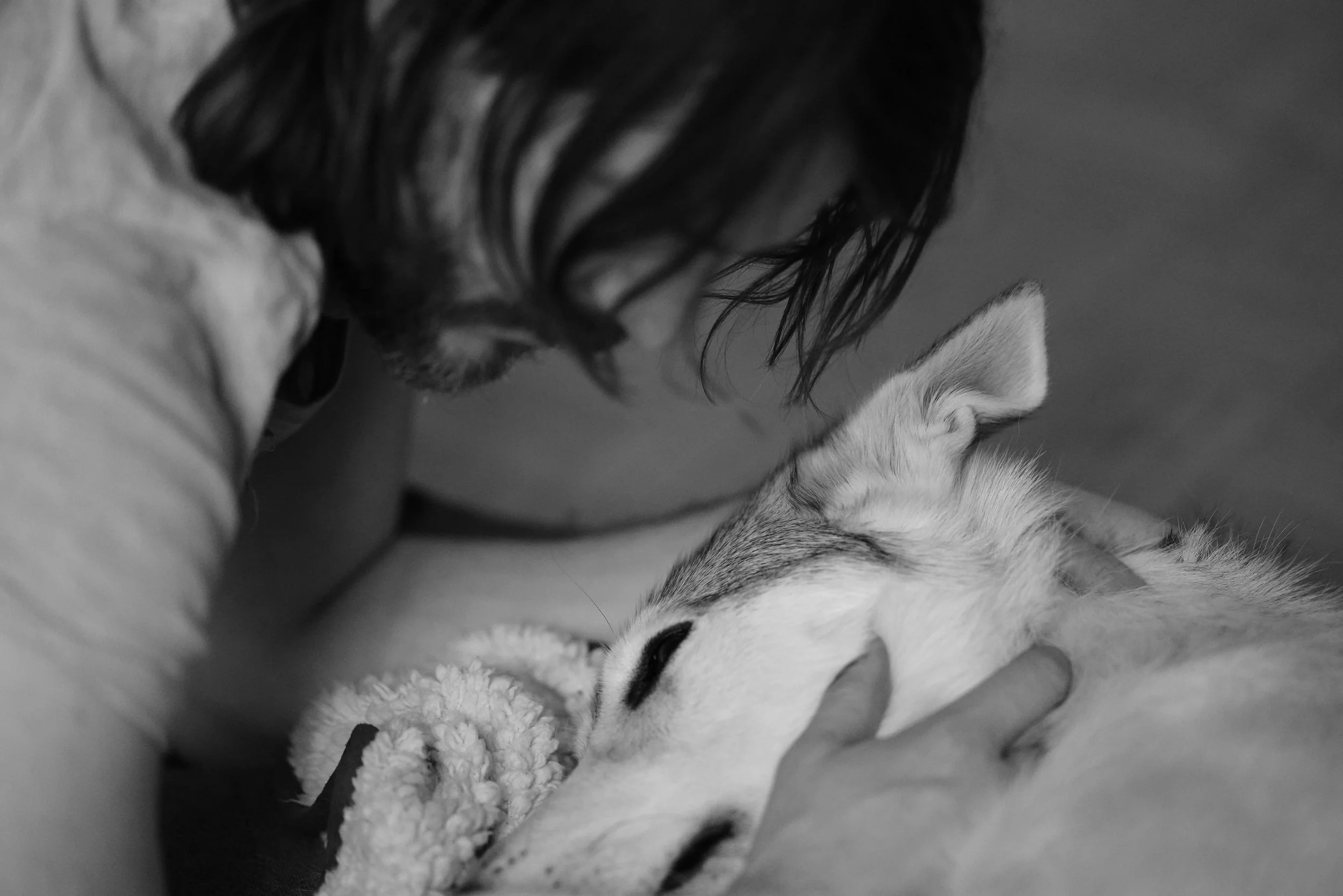 Ein Mensch kuschelt mit zwei schlafenden Katzen, eine auf seinem Schoß und die andere in seiner Nähe, in einer gemütlichen Umgebung.