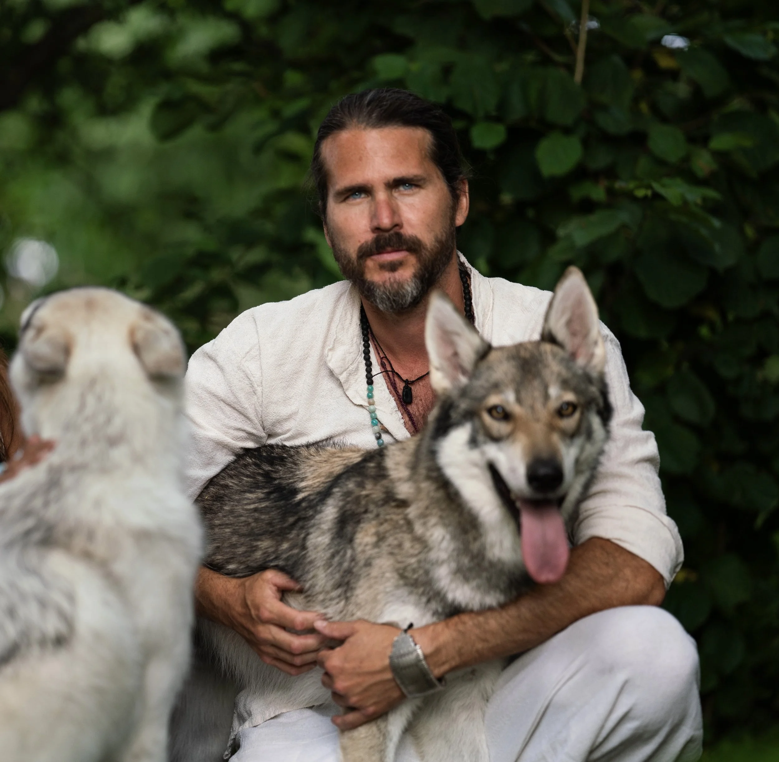 Ein Mann mit dunklem Haar und Bart, der einen sibirischen Husky hält, während im Vordergrund eine andere Hundesorte zu sehen ist. Der Hintergrund besteht aus grünen Blättern.