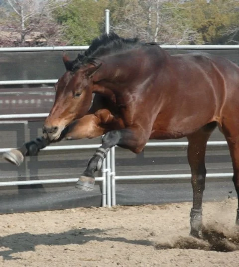 Dags att tänka om kring böjprov