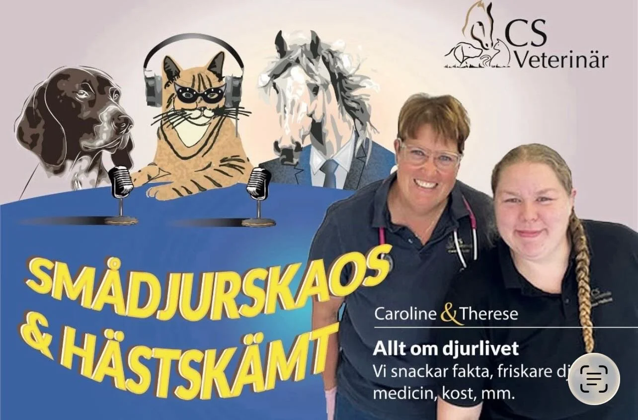 Hovvård och hovverkning