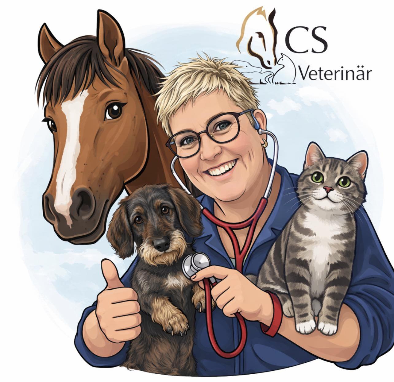 Reflektioner &amp; Nystart 2026