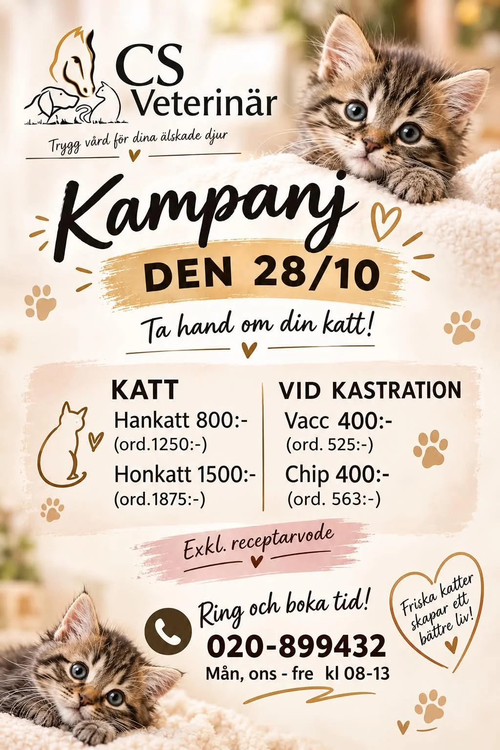 Kampanj för kastering av katter