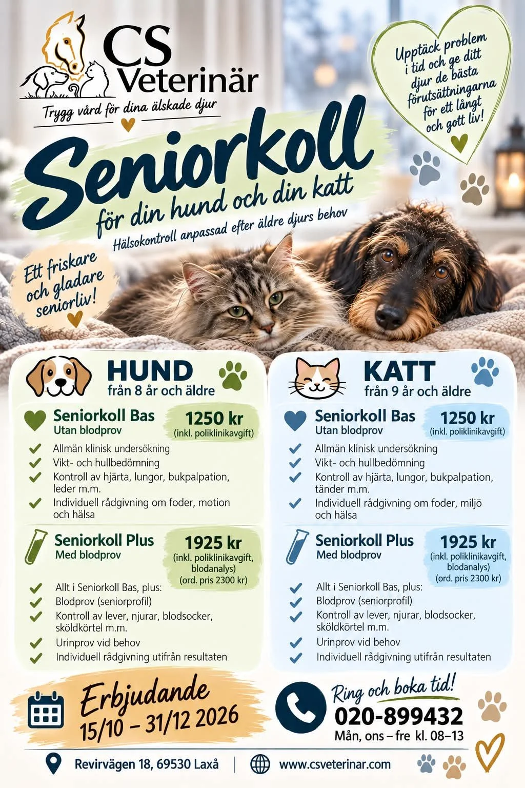 Seniorkoll för hundar och katter