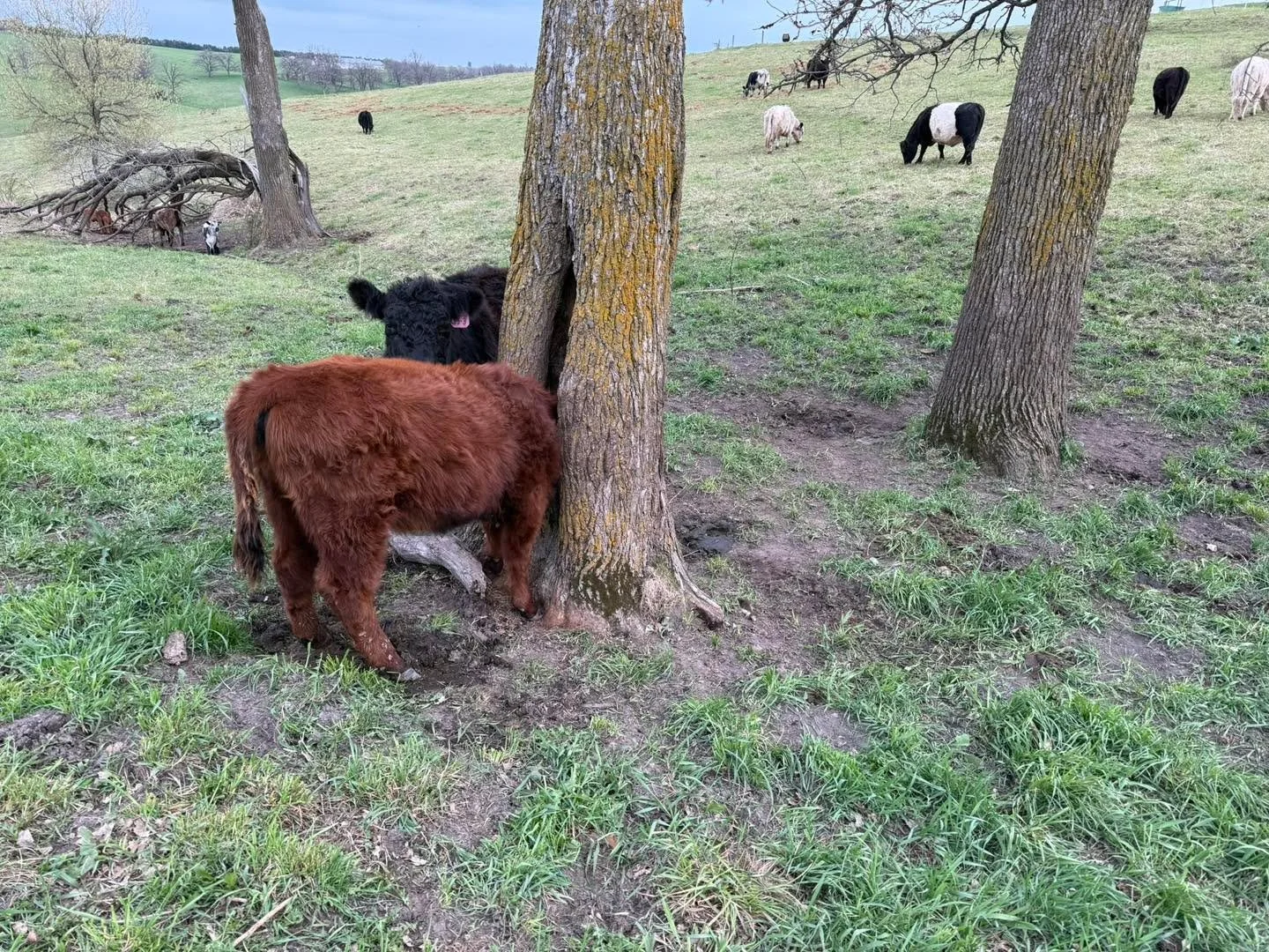 Mondays, amirite?

(she&rsquo;s fine now 🙄)