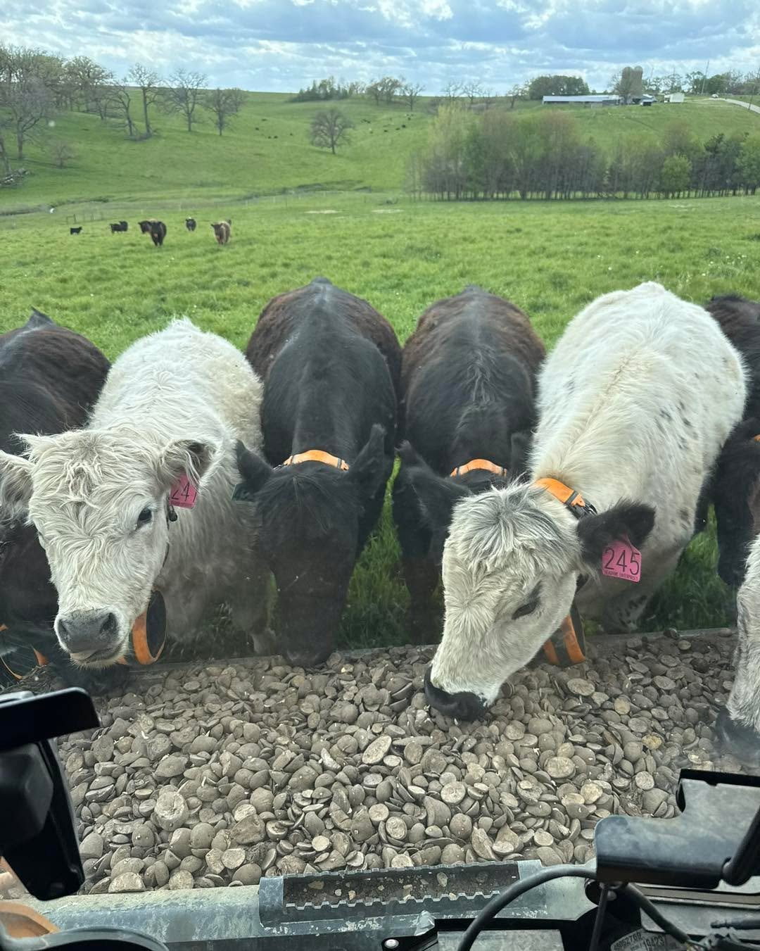 #meatandpotatoes