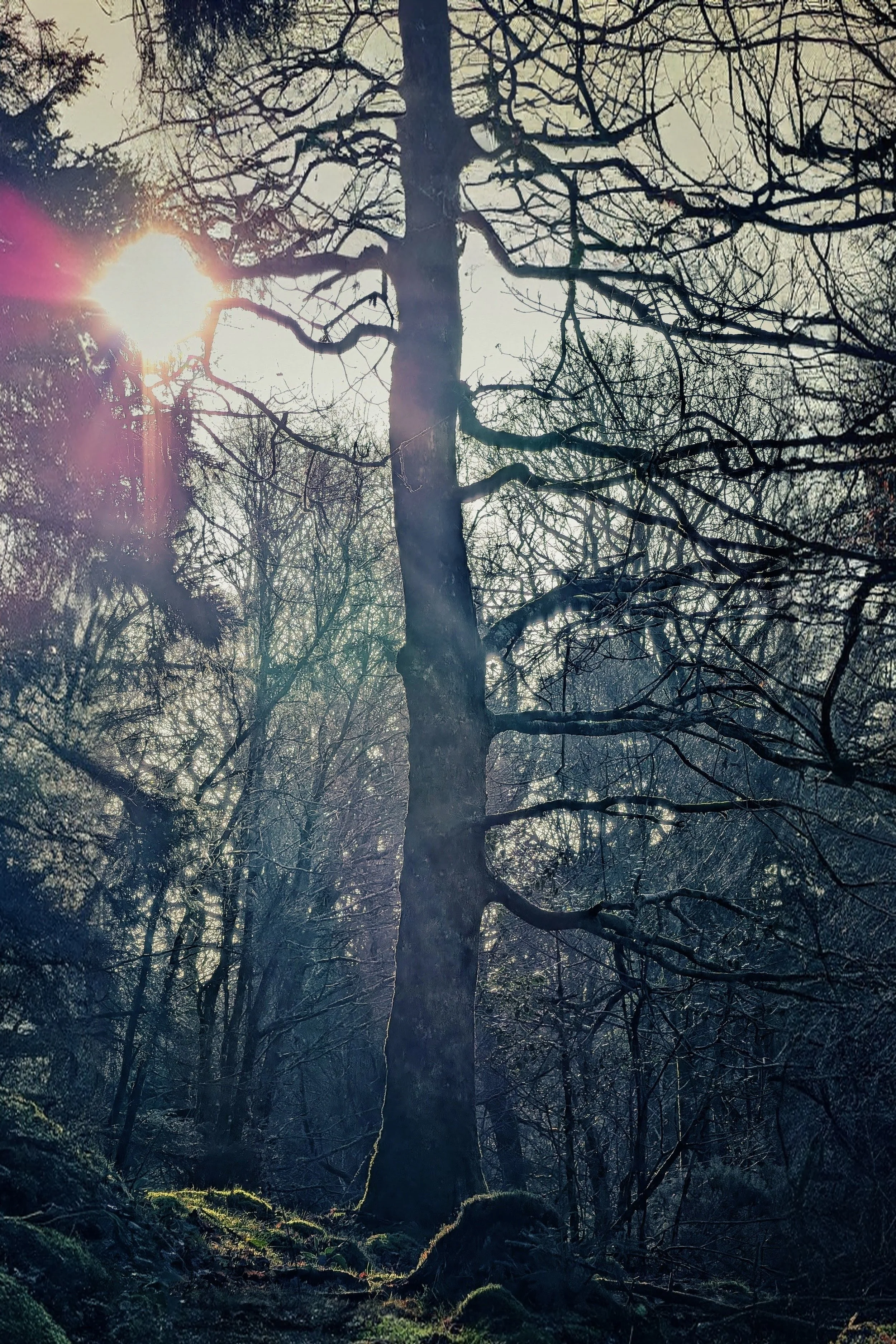 PXL_20251219_114957280~2 (1)~2.jpg