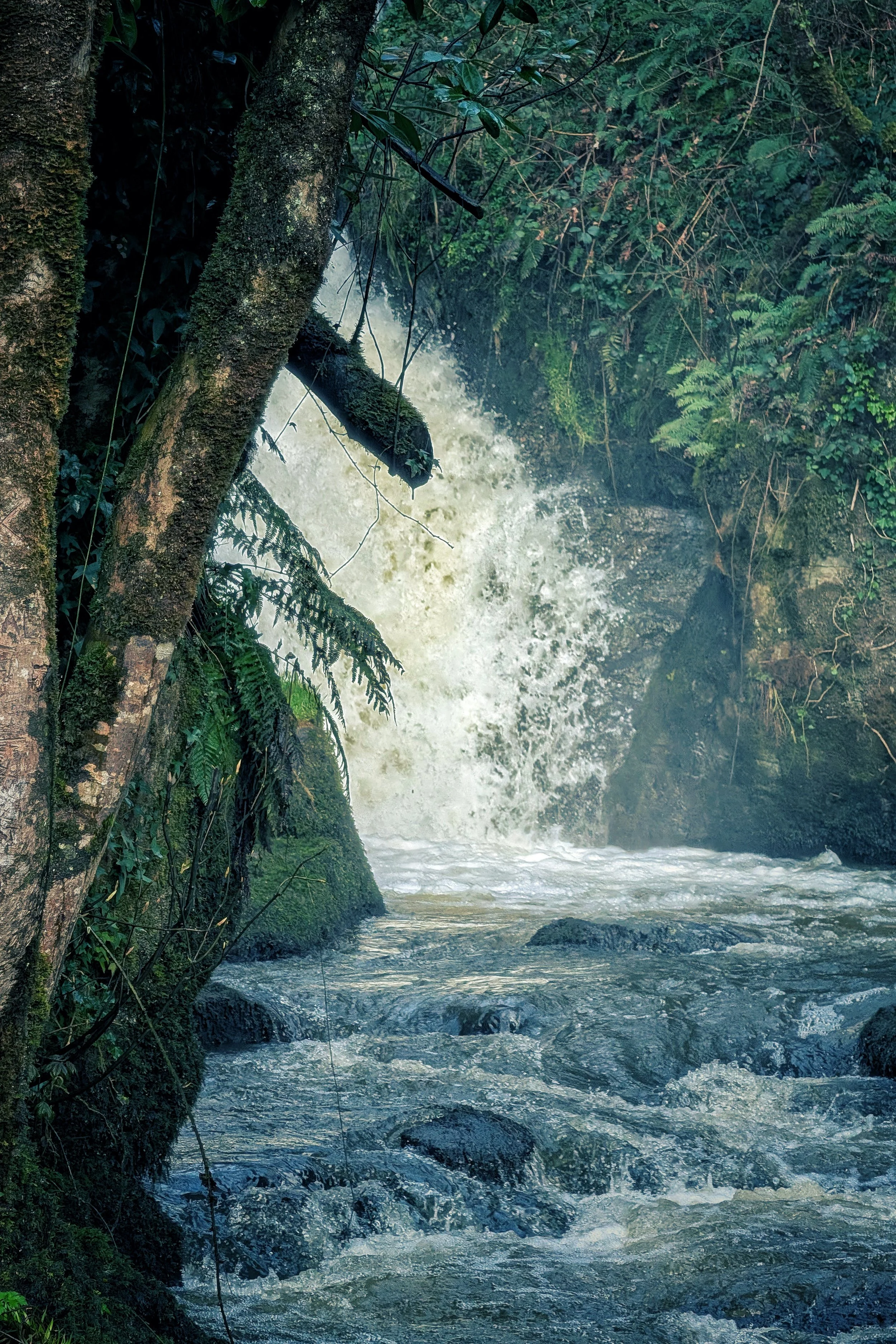 The Magic of Edenvale