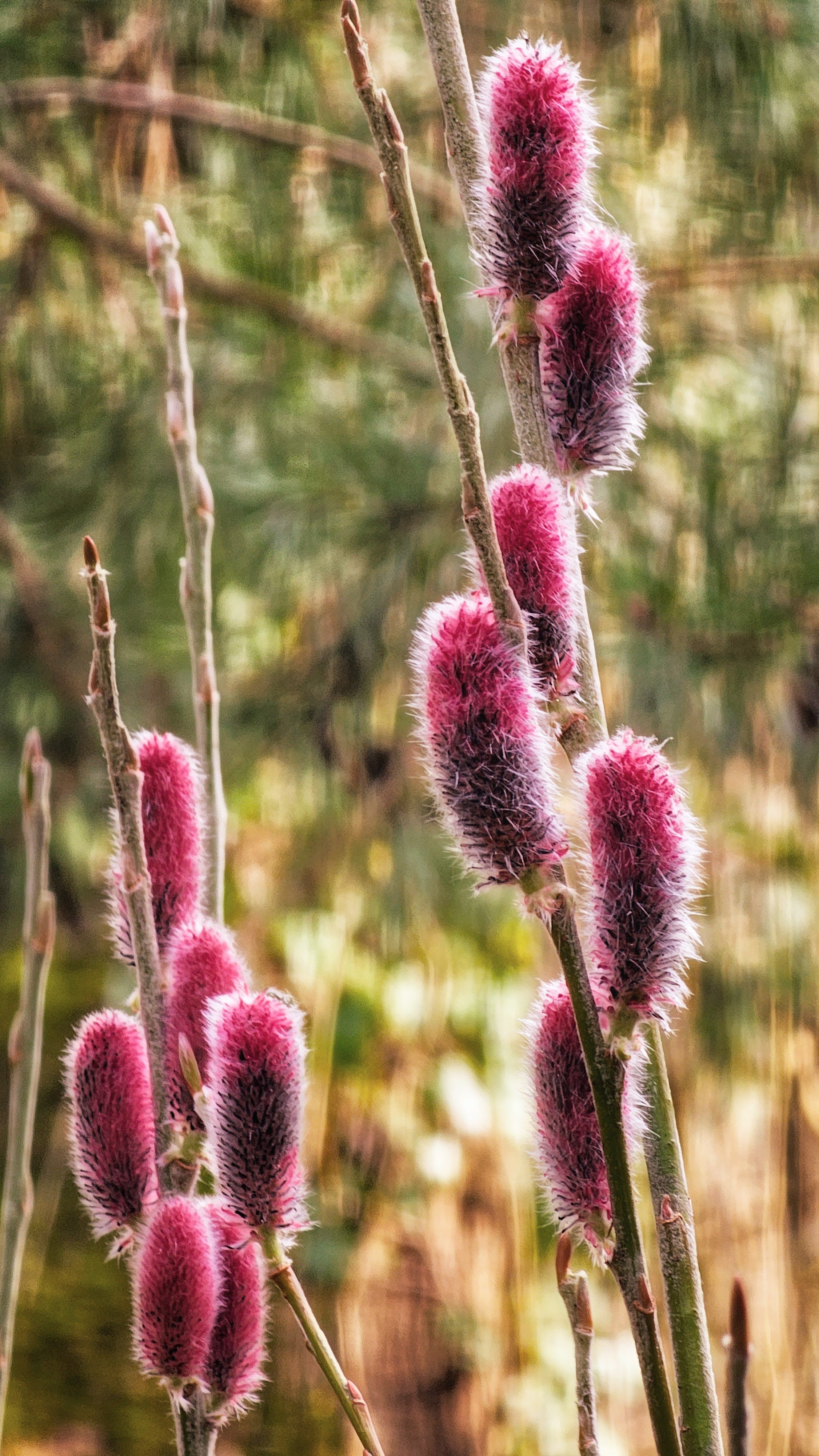 1 Year Ago: Nature’s Soft Touch