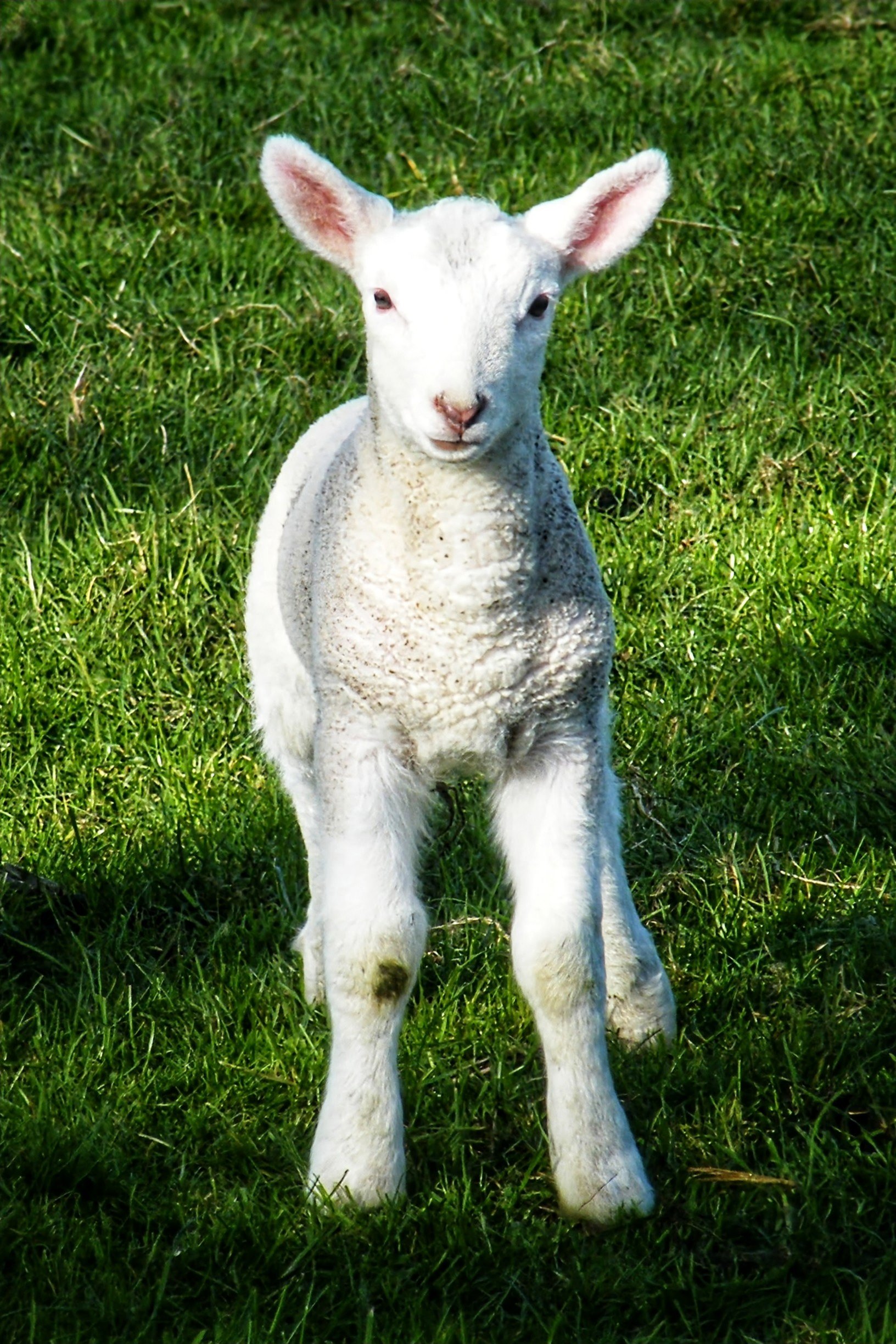 Co Wicklow (7)-01~2.jpeg