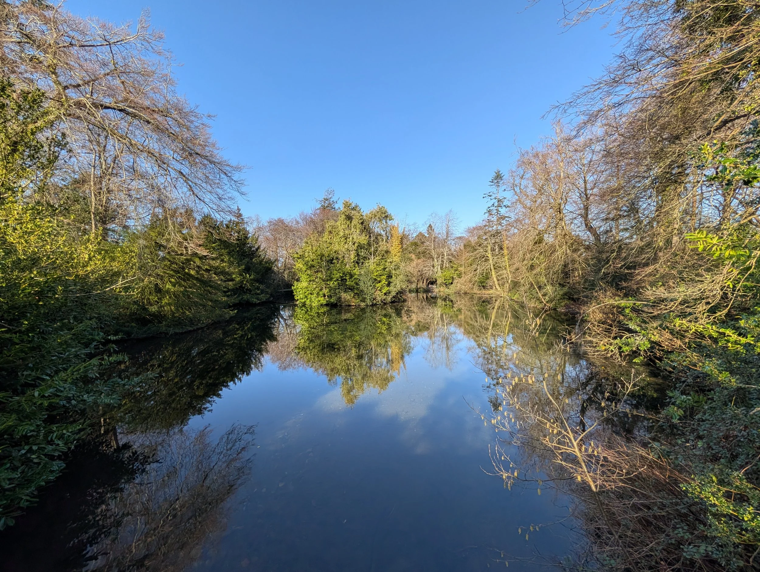 Marlay Park, County Dublin
