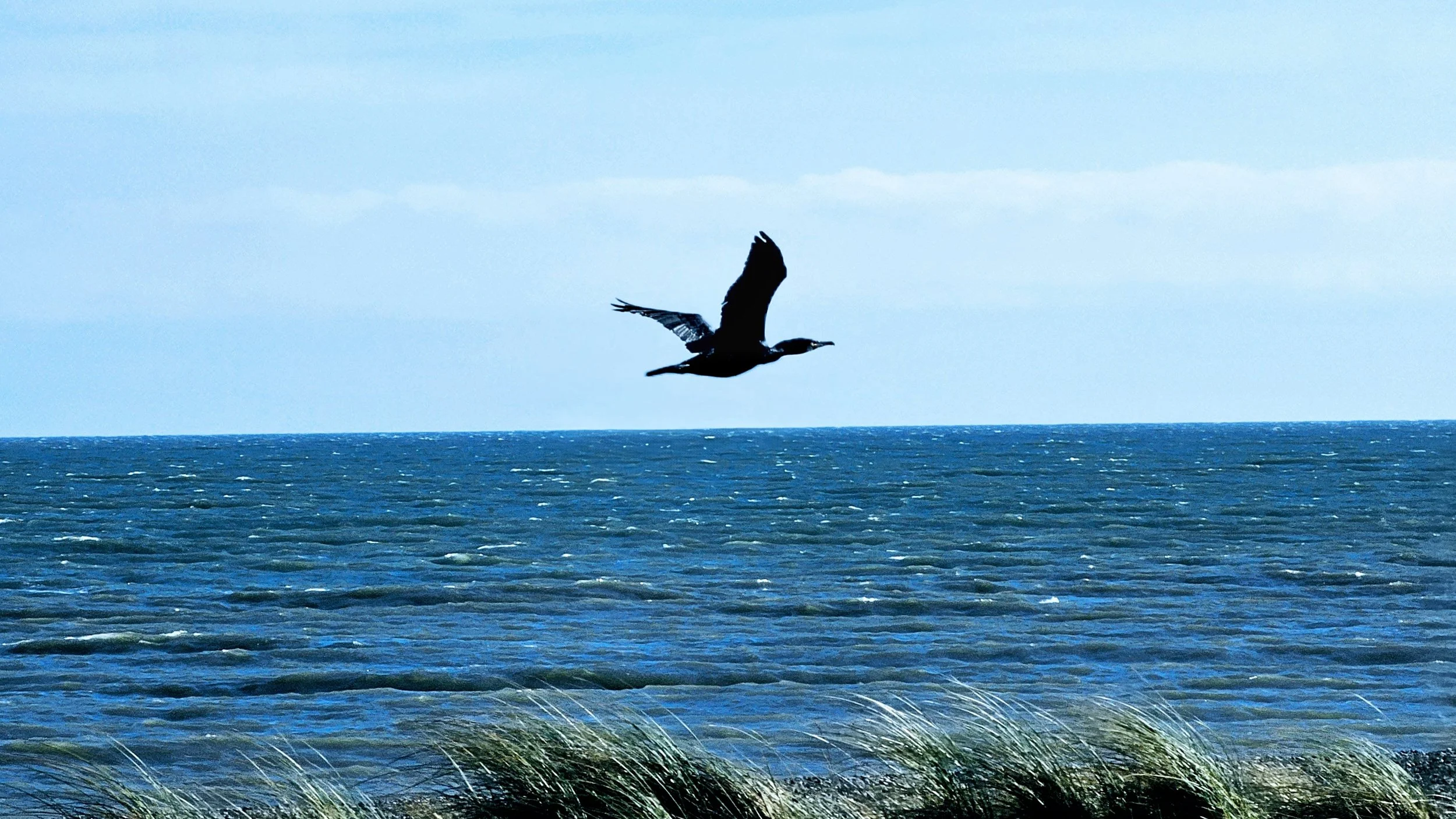 20250305_122946~2 (1).jpg