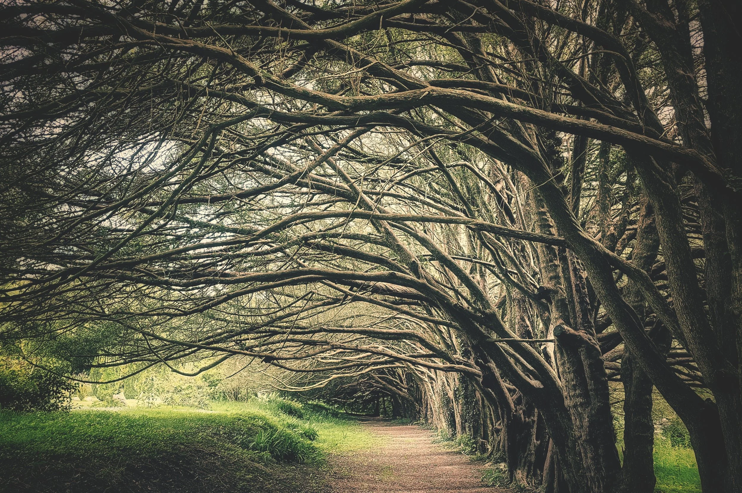 20240610_121136 (1).jpg