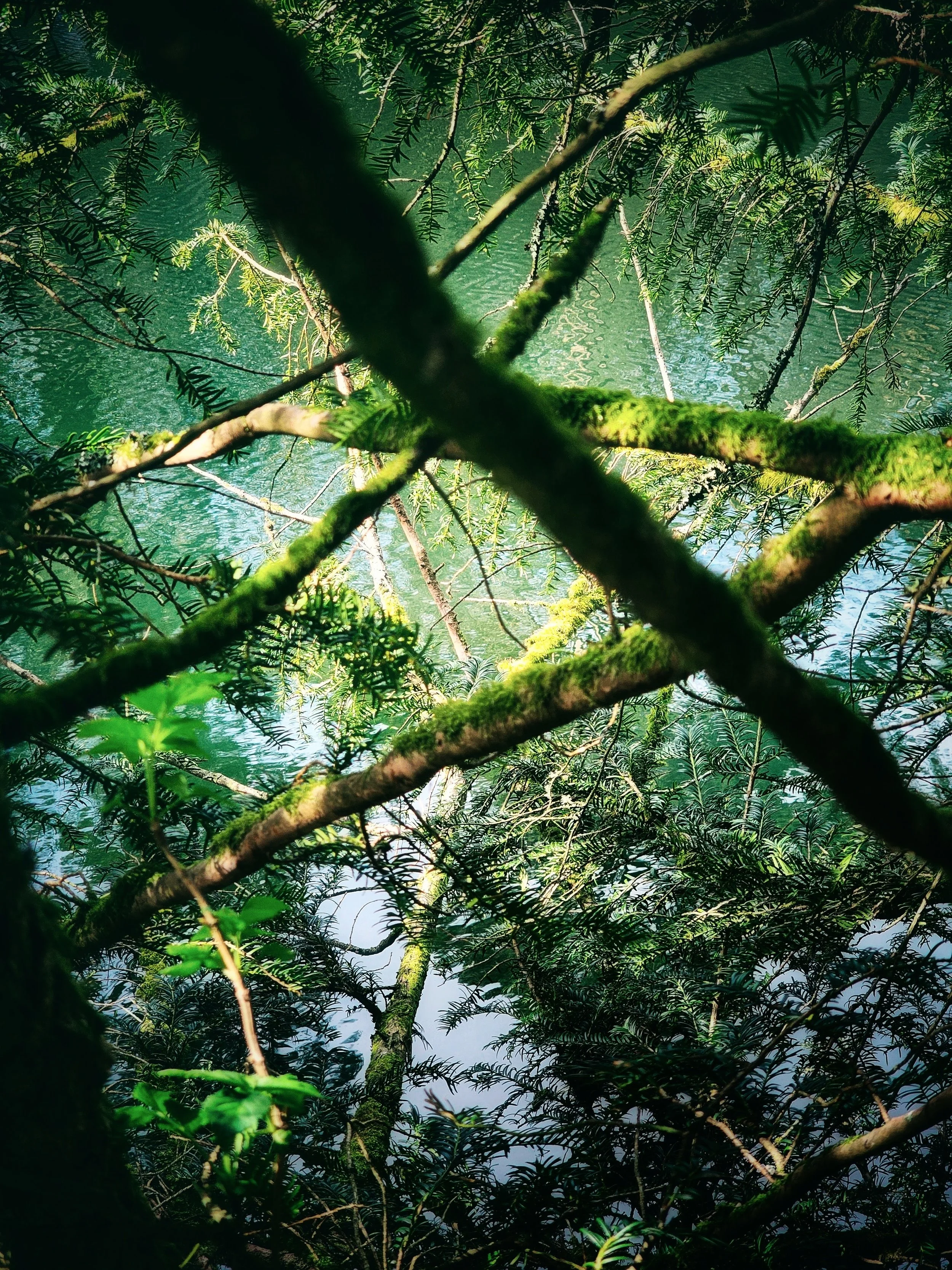 20250331_131647 (1).jpg