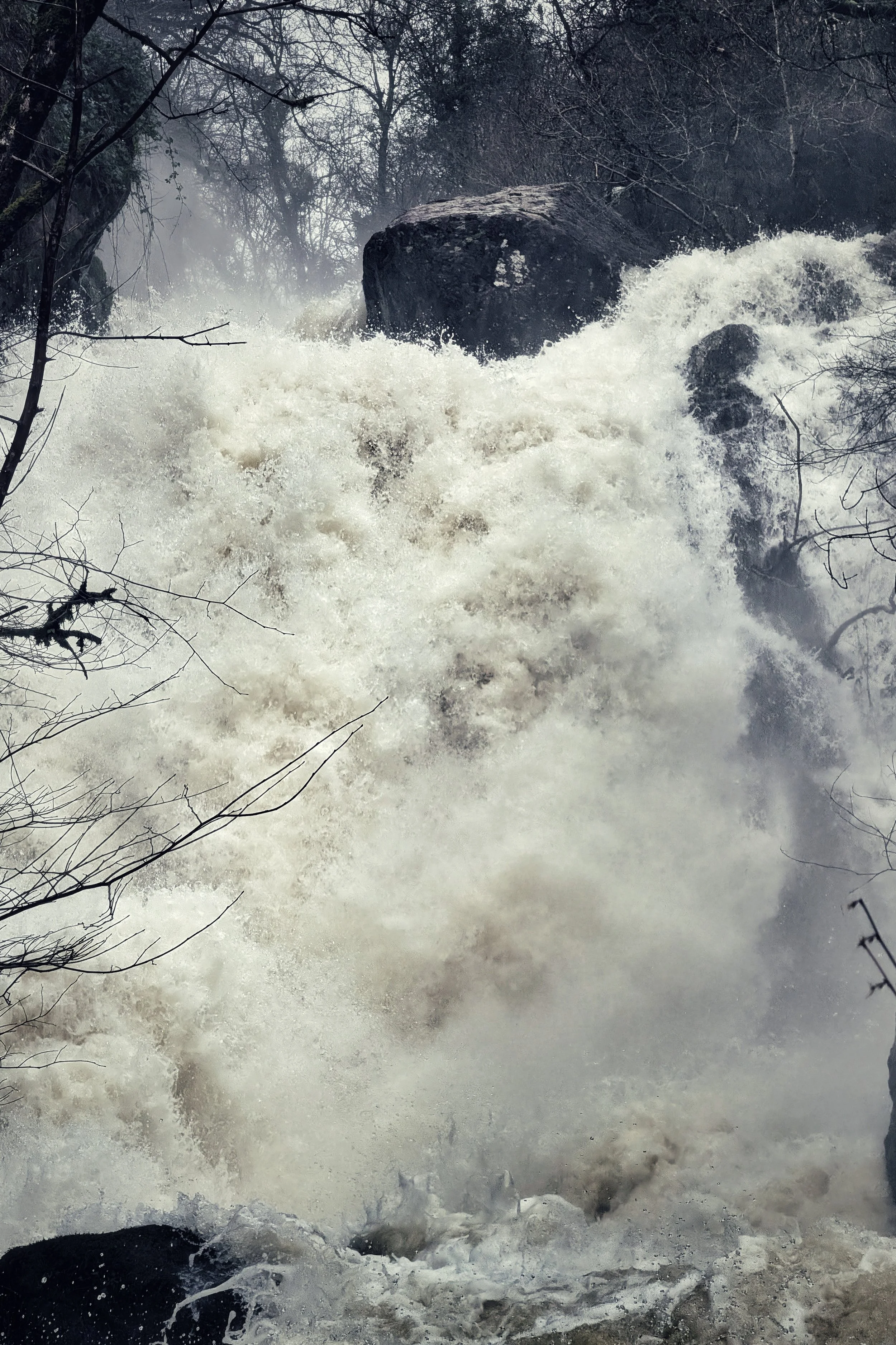 The River Sometimes Roars