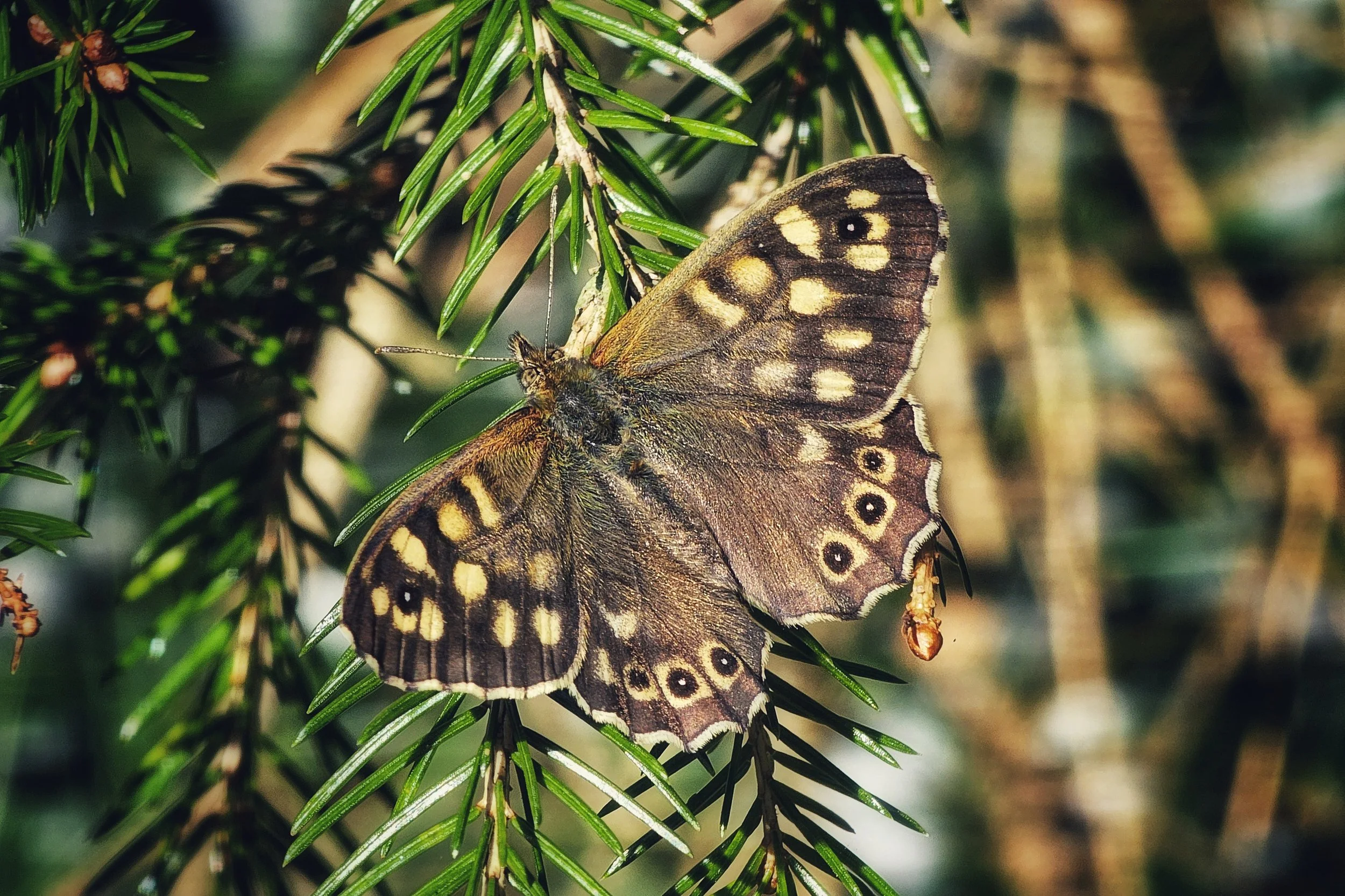 20250411_122640(0) (1).jpg