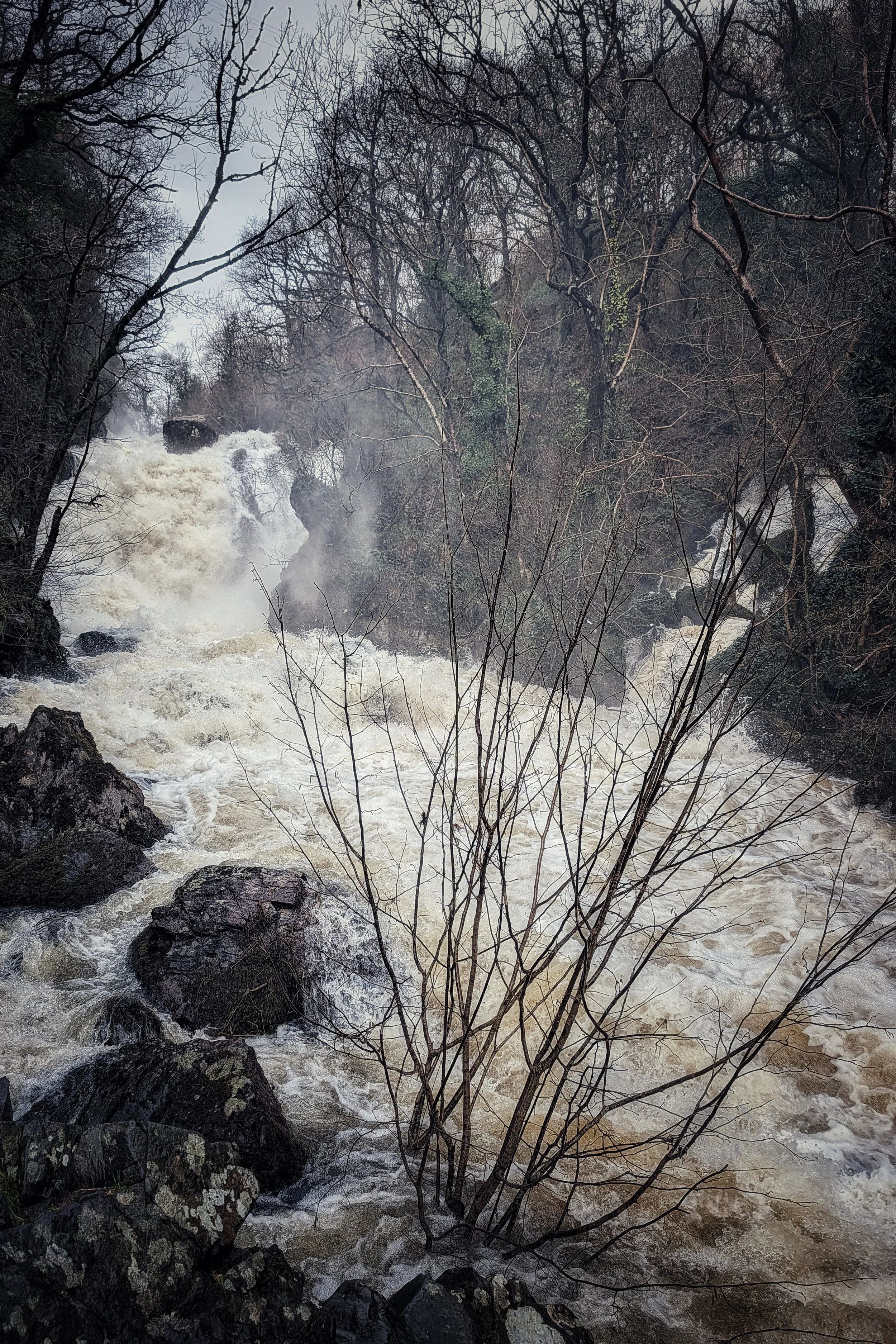 Relentless Rain in Wicklow
