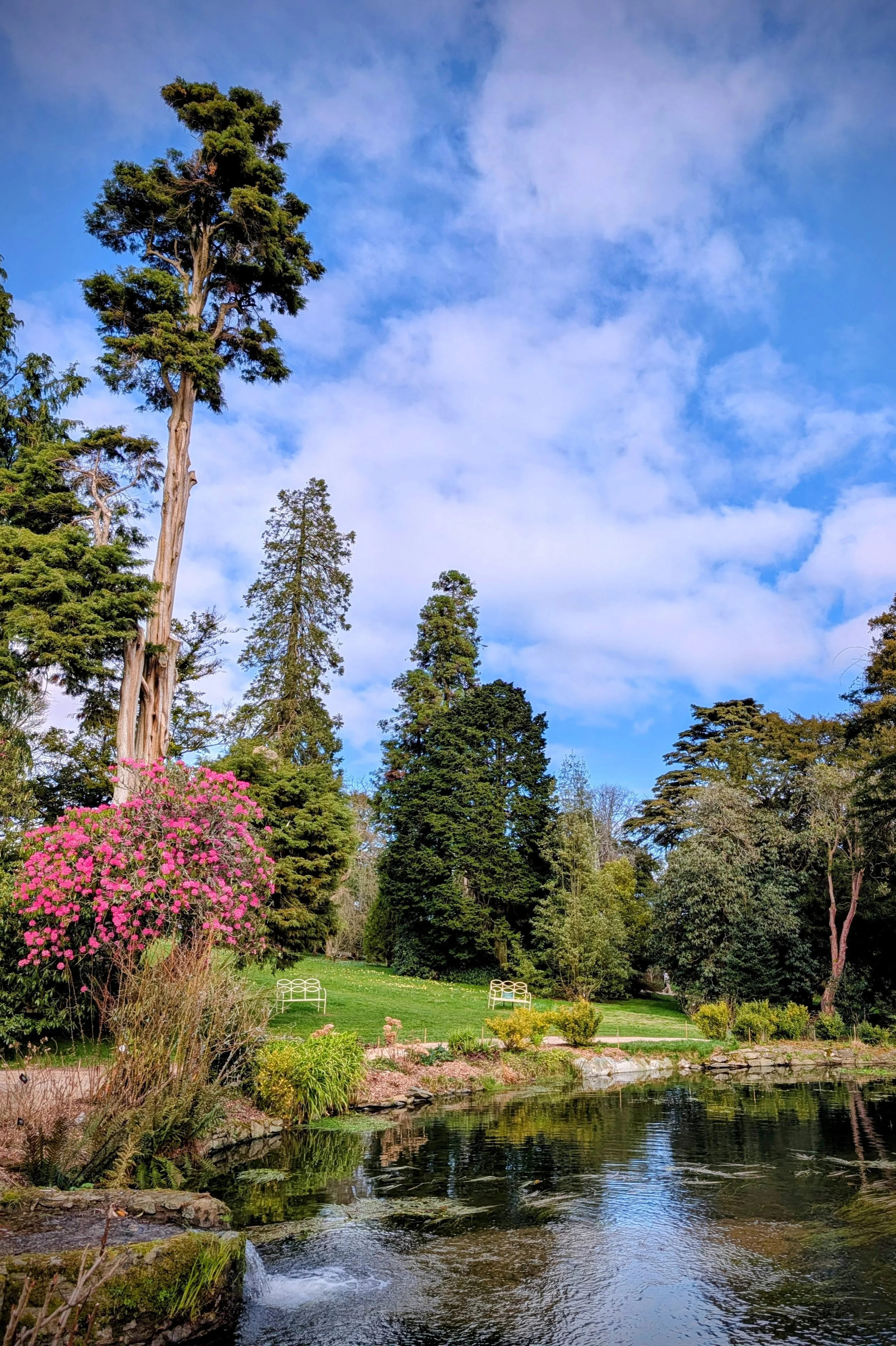 The Magic of Kilmacurragh Gardens