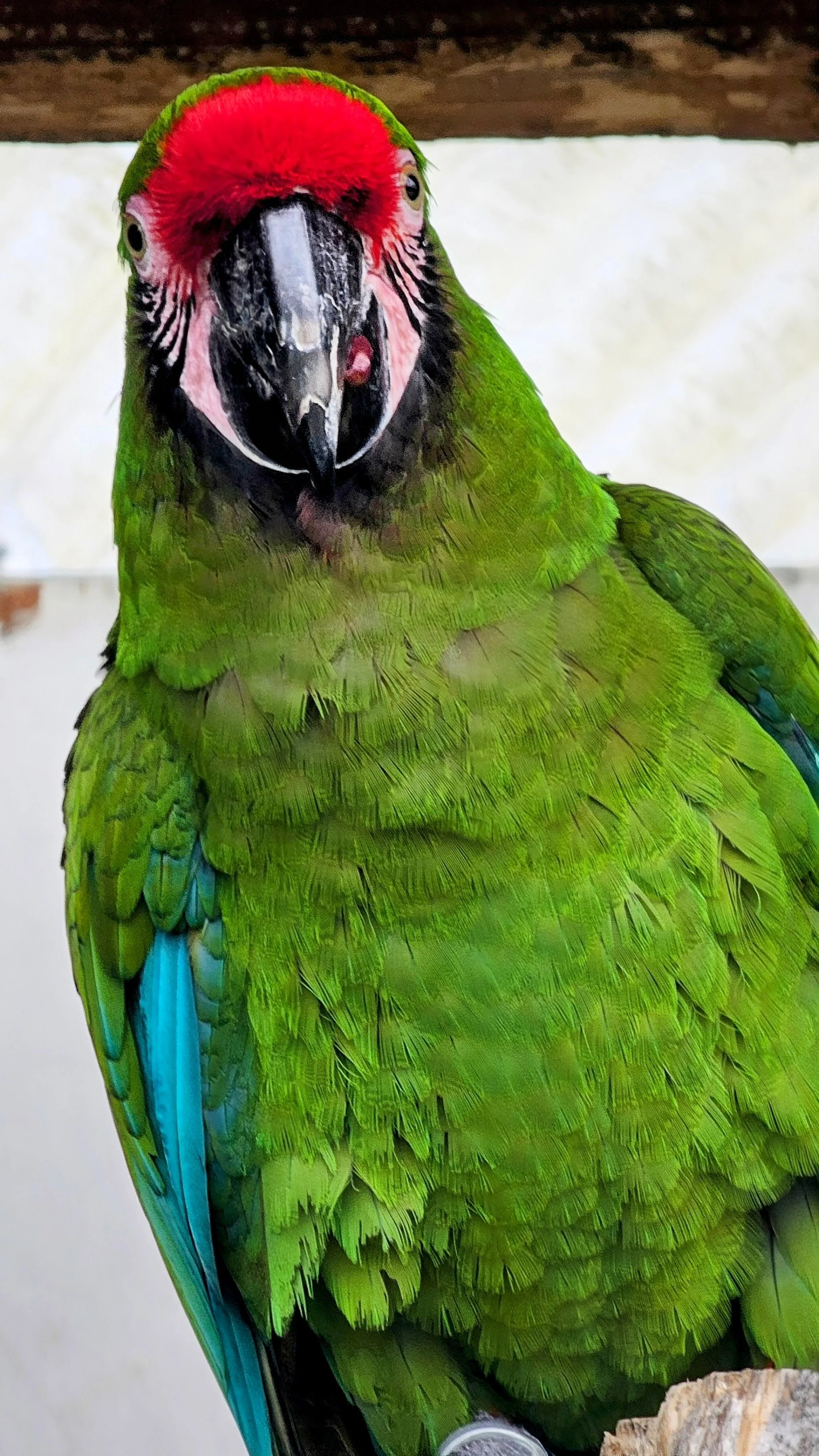 20250118_144045~3 (1).jpg