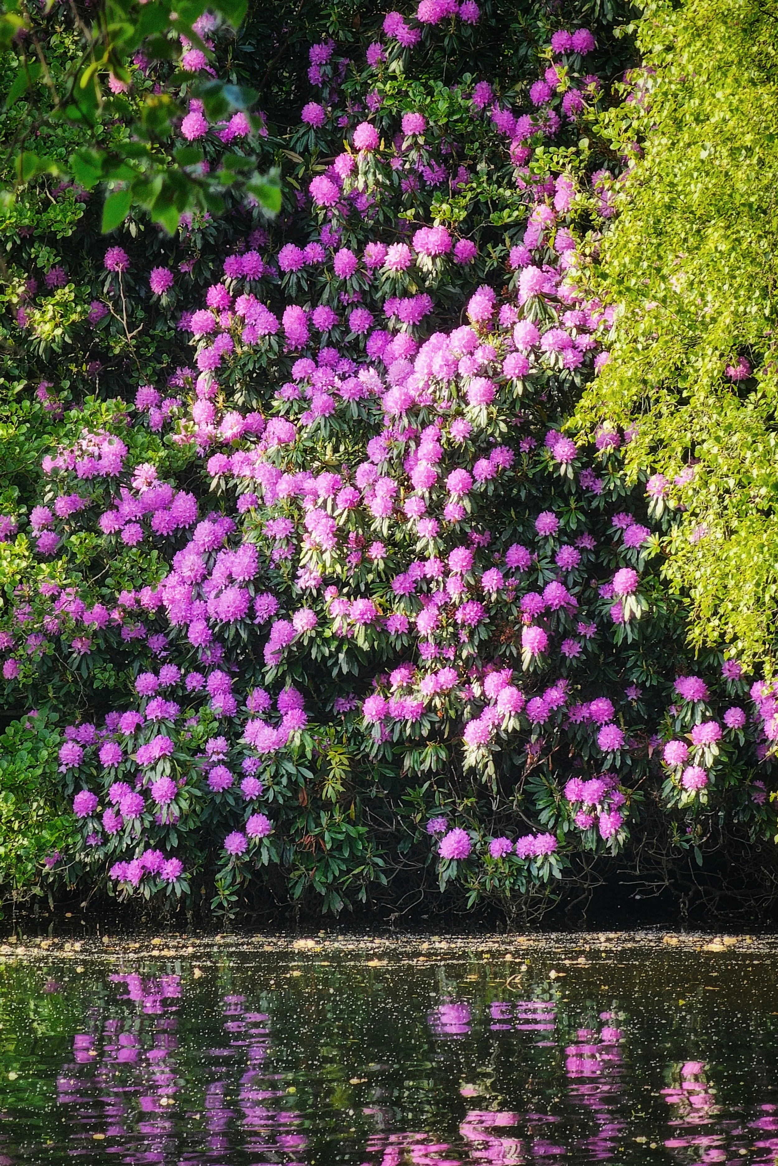 20250519_181729 (1).jpg