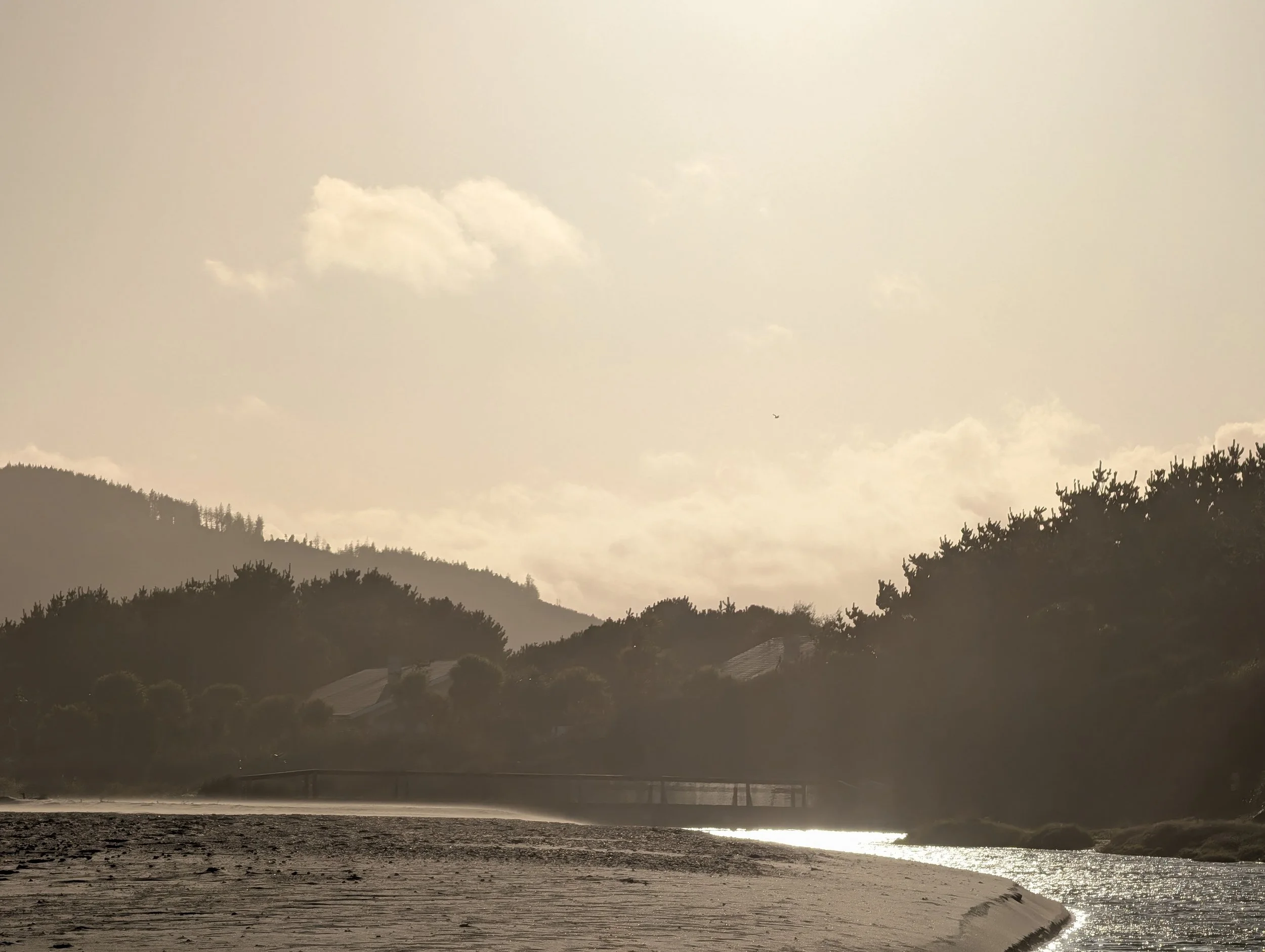 Clone Strand, County Wexford