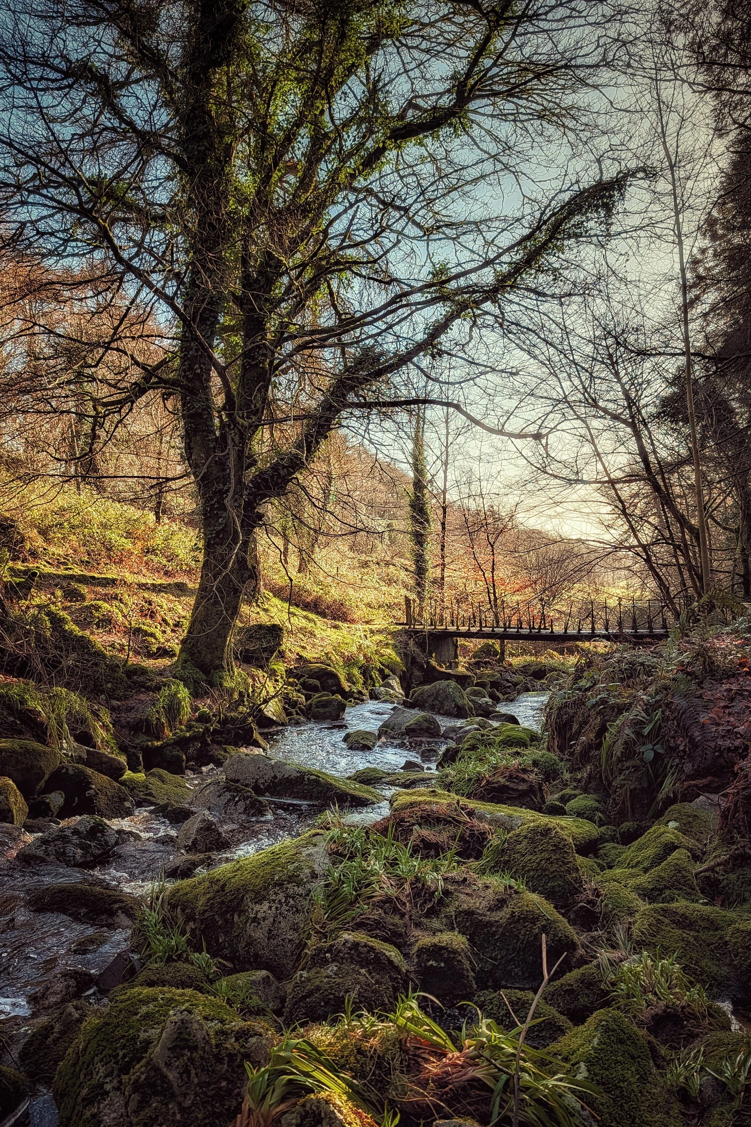 Tranquil Waters Near Lourdes Grotto