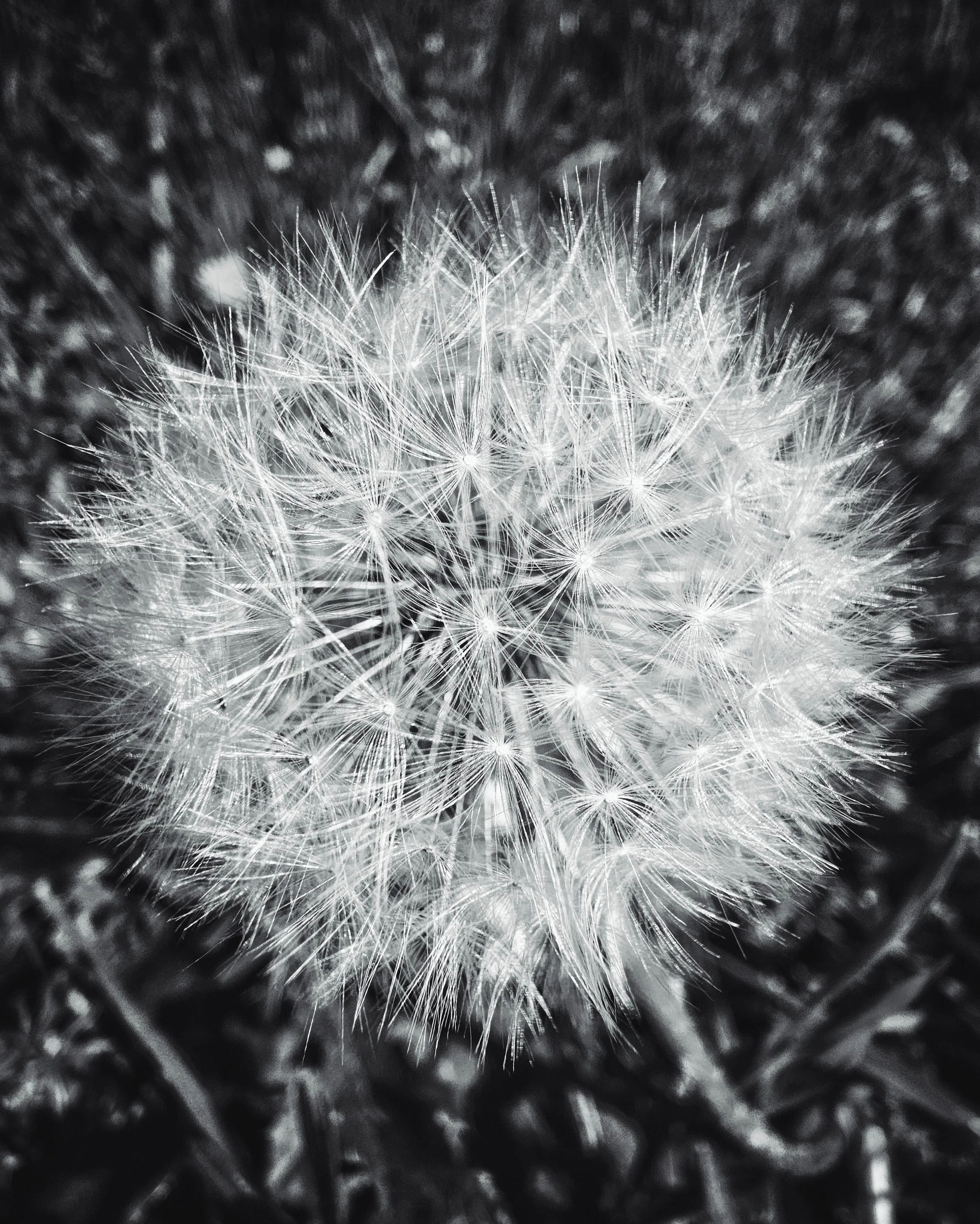 20250409_112435 (1).jpg