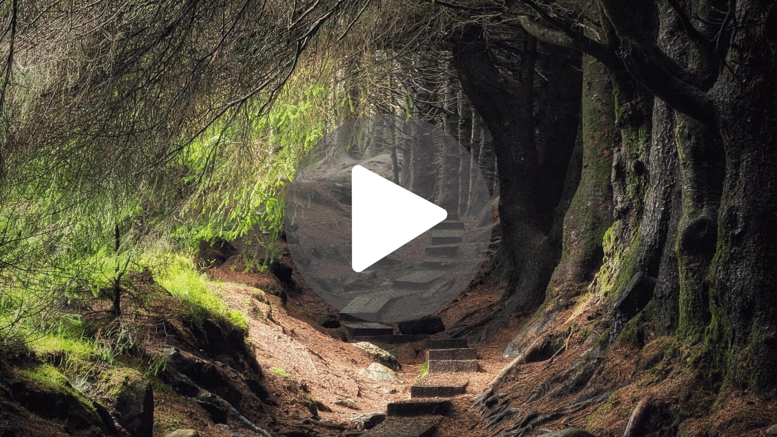 Is this Ireland or Middle Earth?