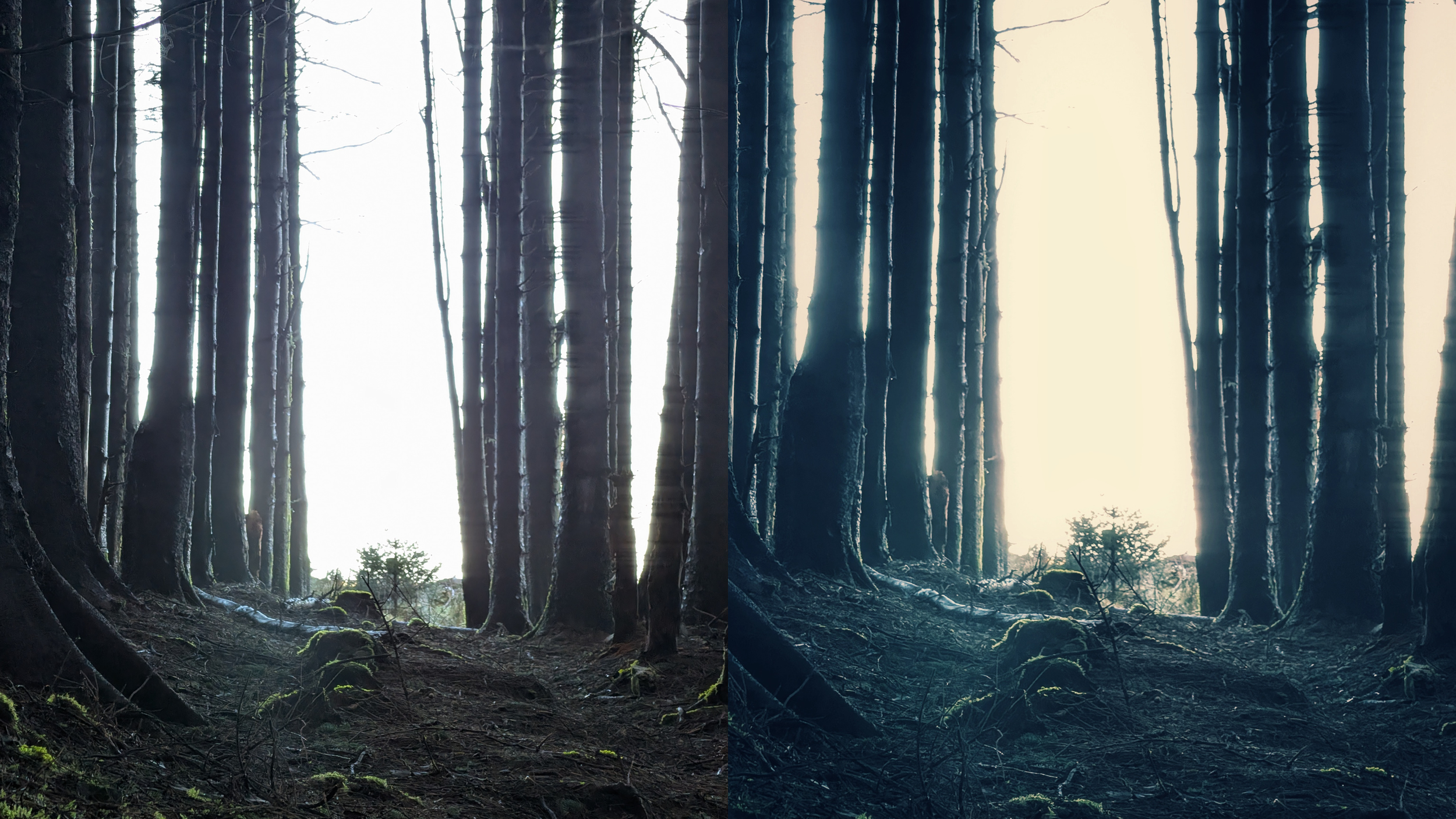 Capture the Ethereal: How I Use Snapseed’s 'Retrolux' for Atmospheric Landscapes