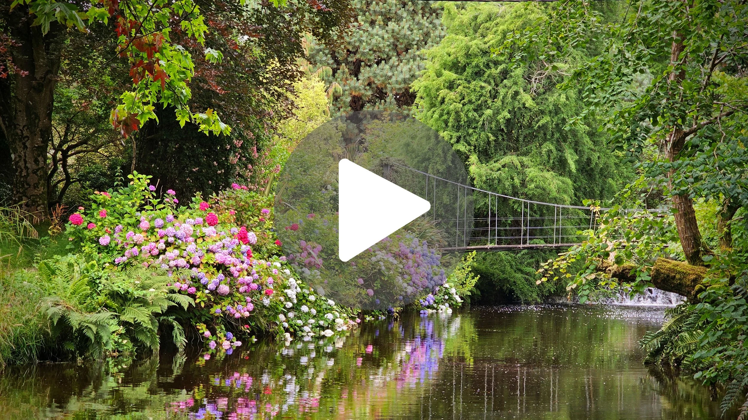 Ireland's Most Beautiful "Wild" Garden 🌿🇮🇪 (Mount Usher)