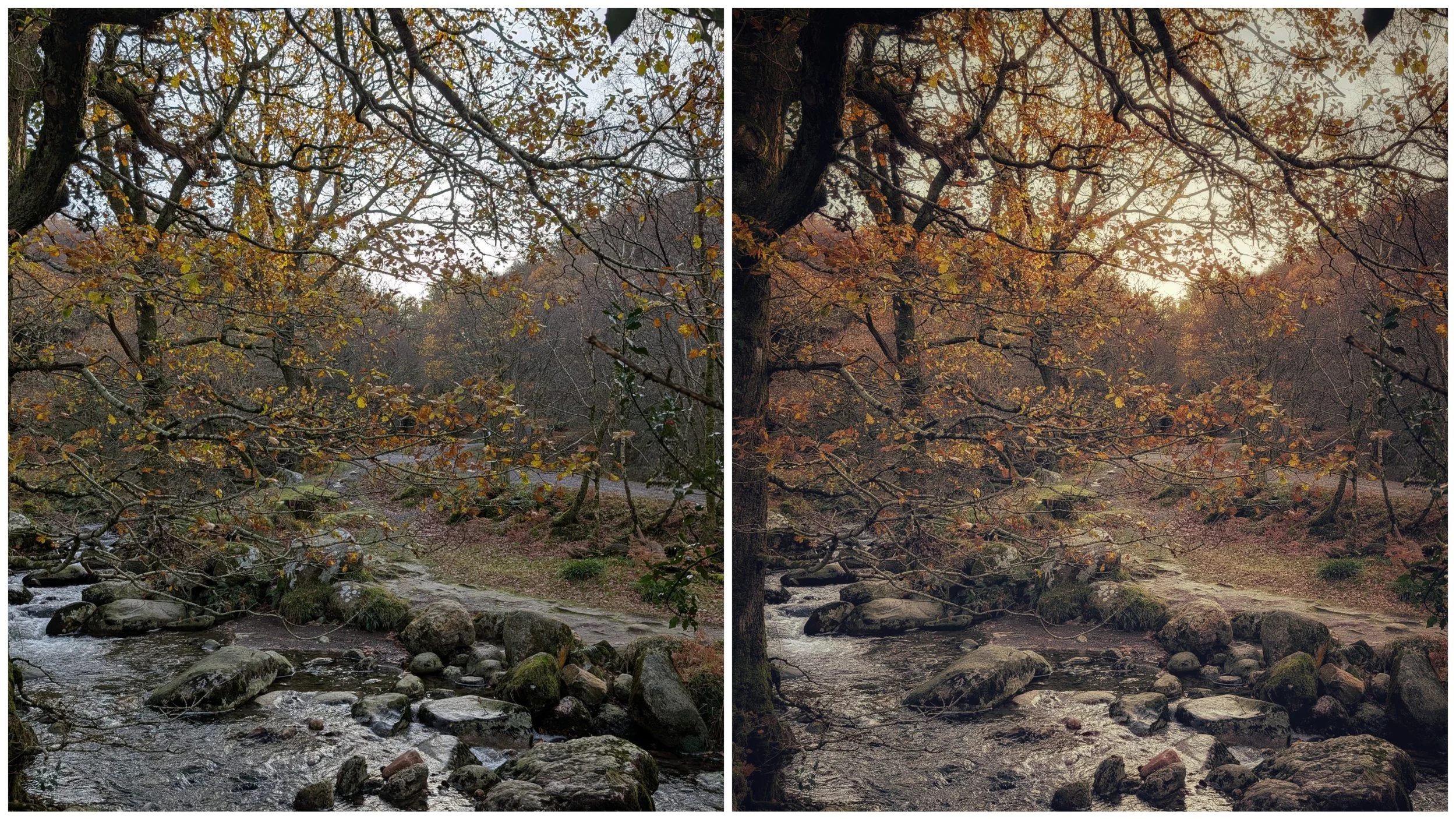 The Secret Sauce for Dreamy Photos: A Guide to Snapseed's Glamour Glow