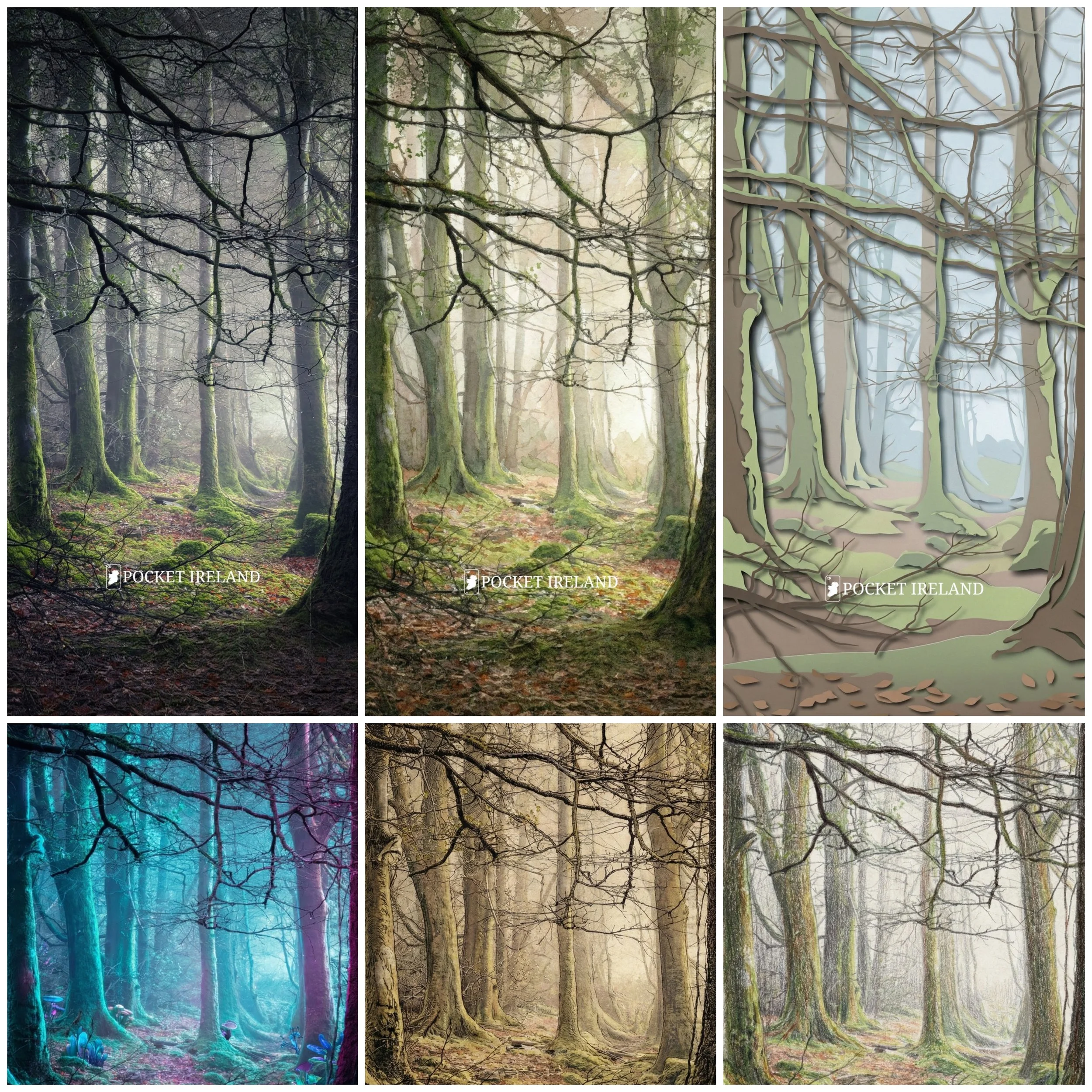 Fading Light, Rising Mist