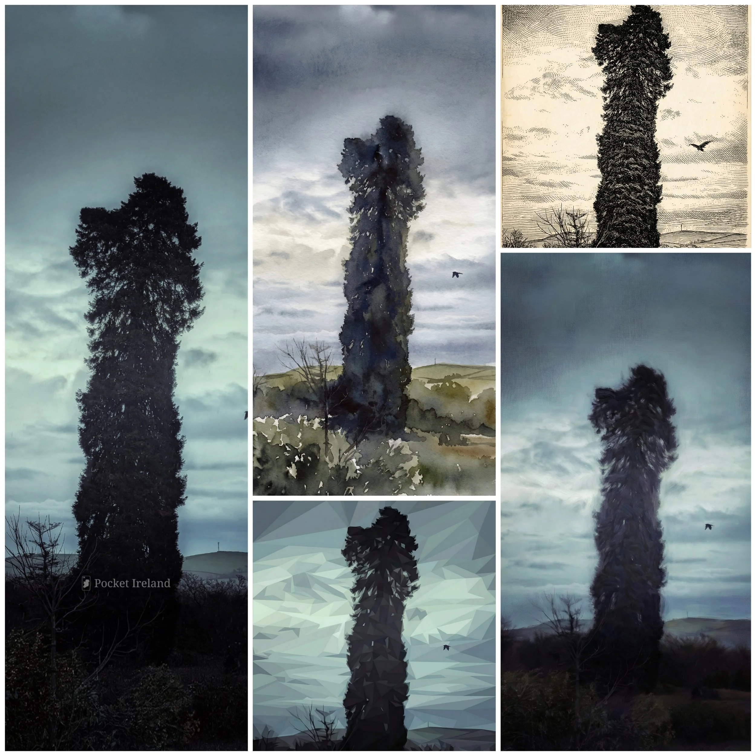 The Crow and the Conifer