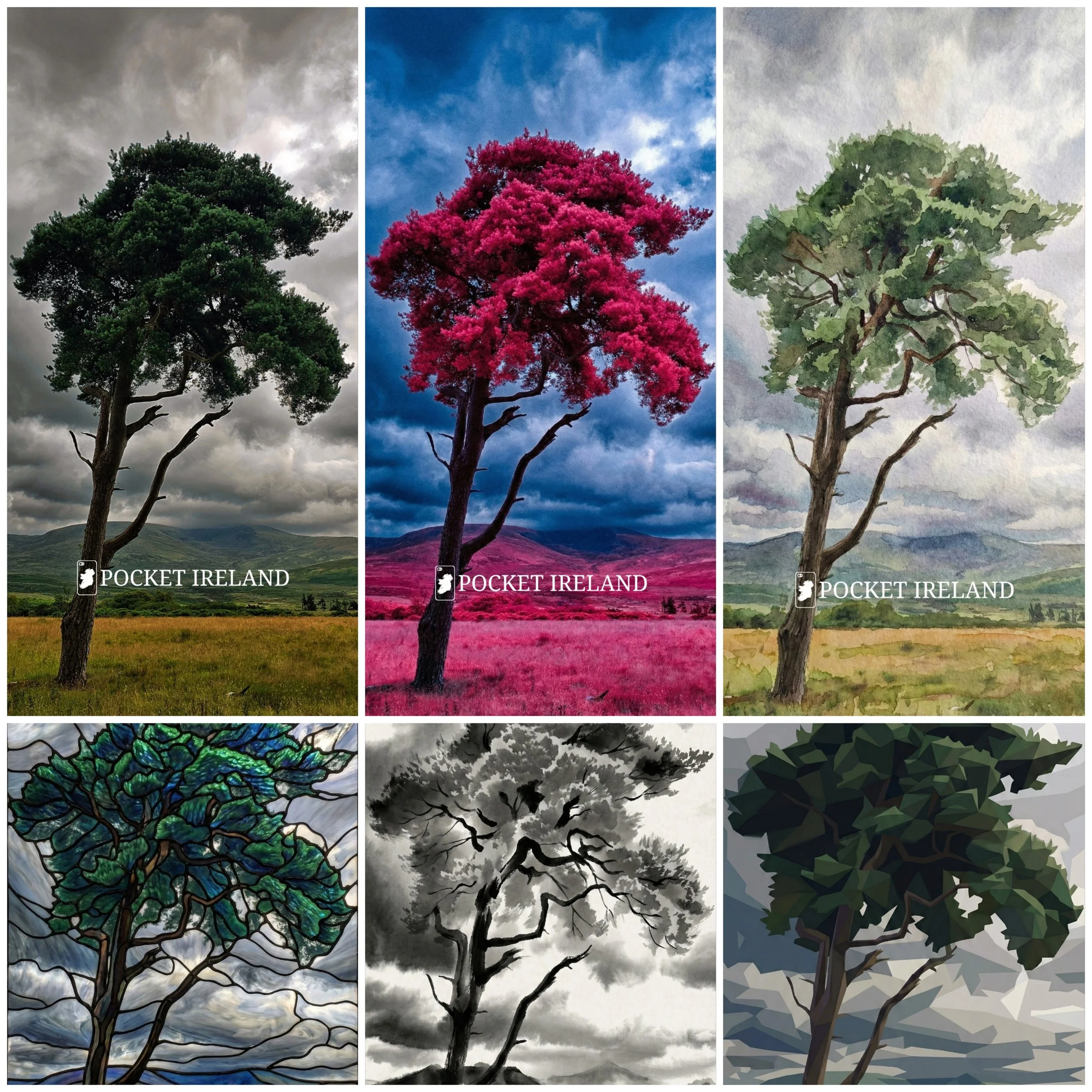 Lone Tree, Vast Landscape