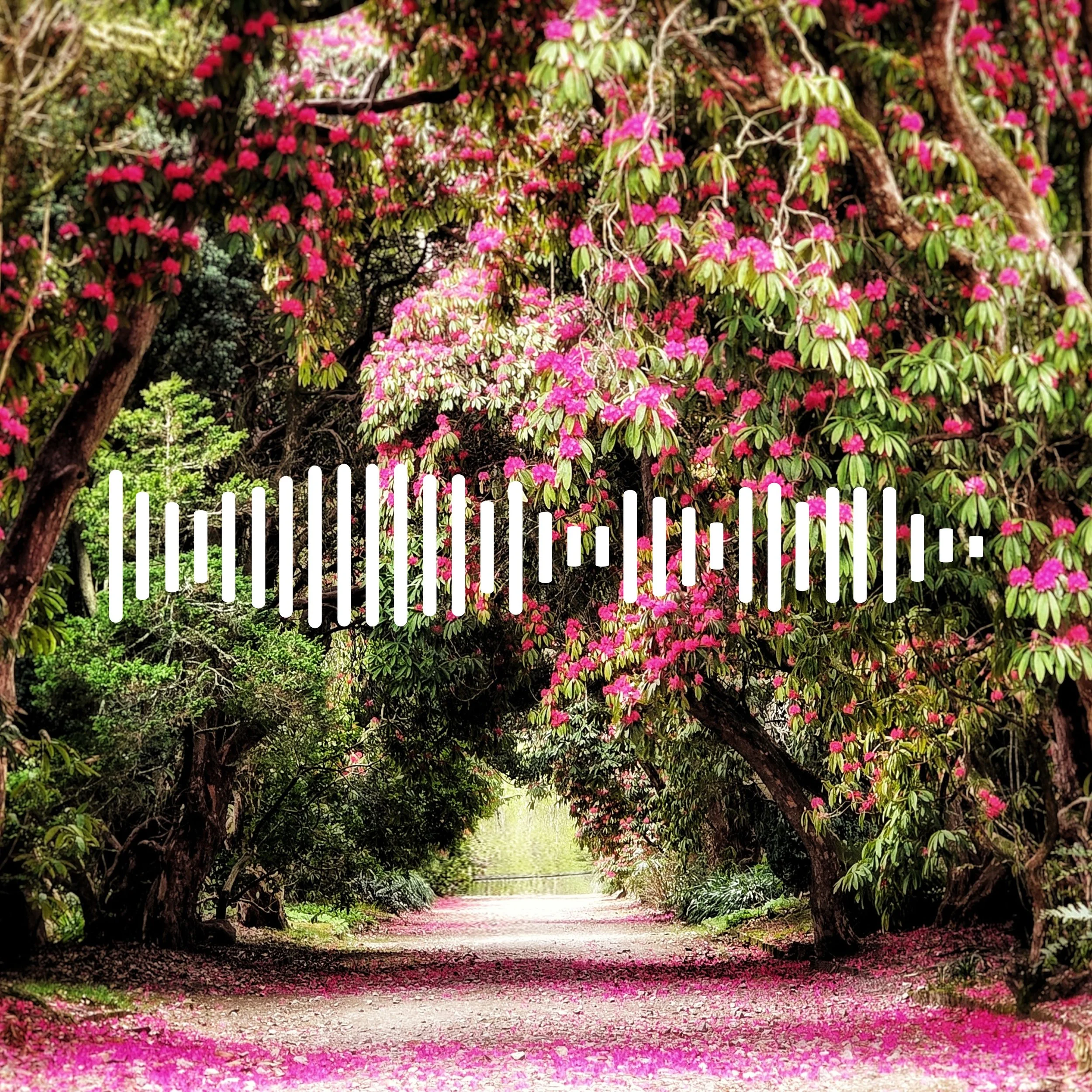 Through the Gates of Kilmacurragh