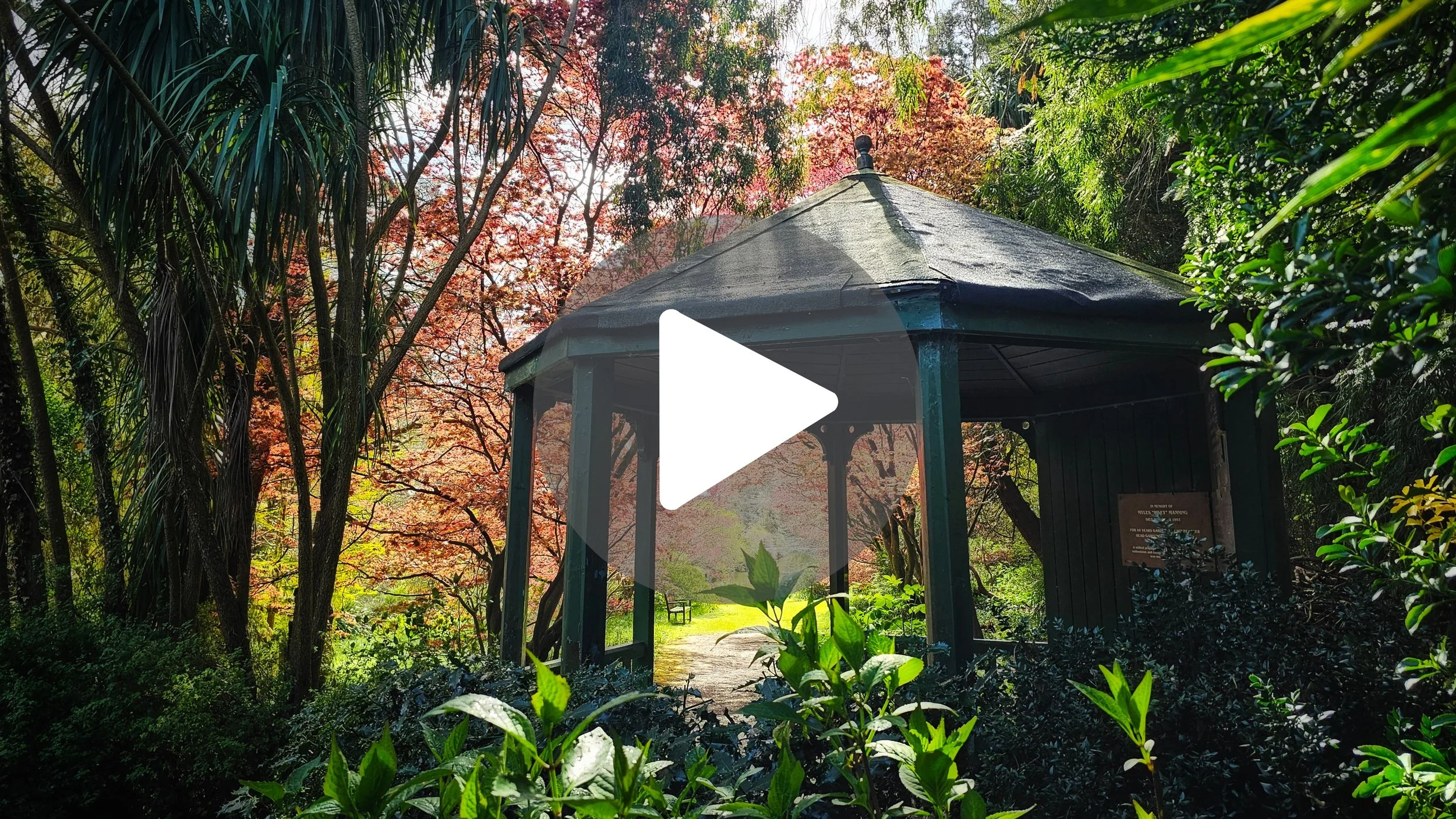 The Ultimate Valentine's Bucket List: East Ireland Edition 💘