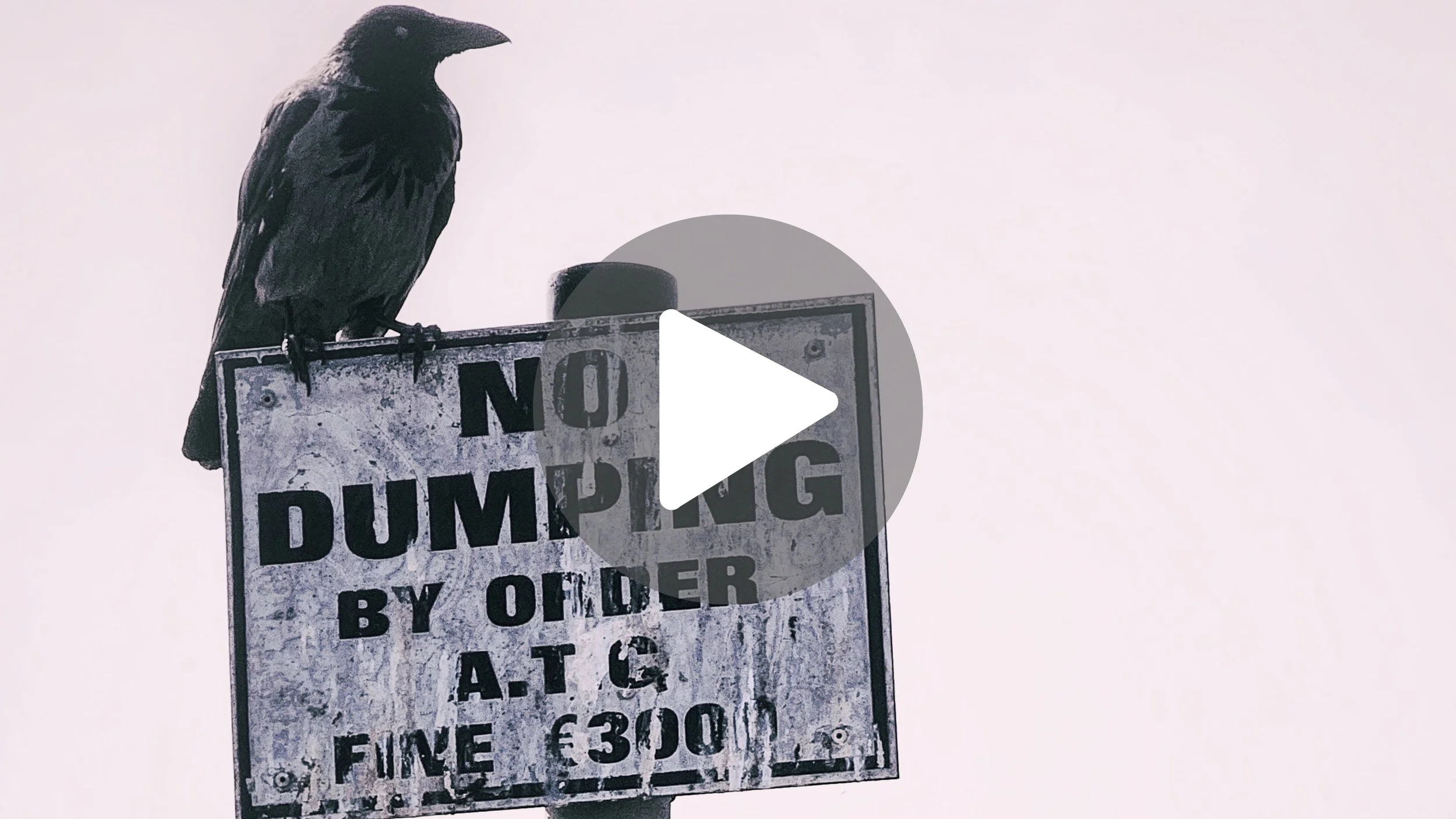 Ireland: The Fairytale vs. The Fine Print 🇮🇪😂