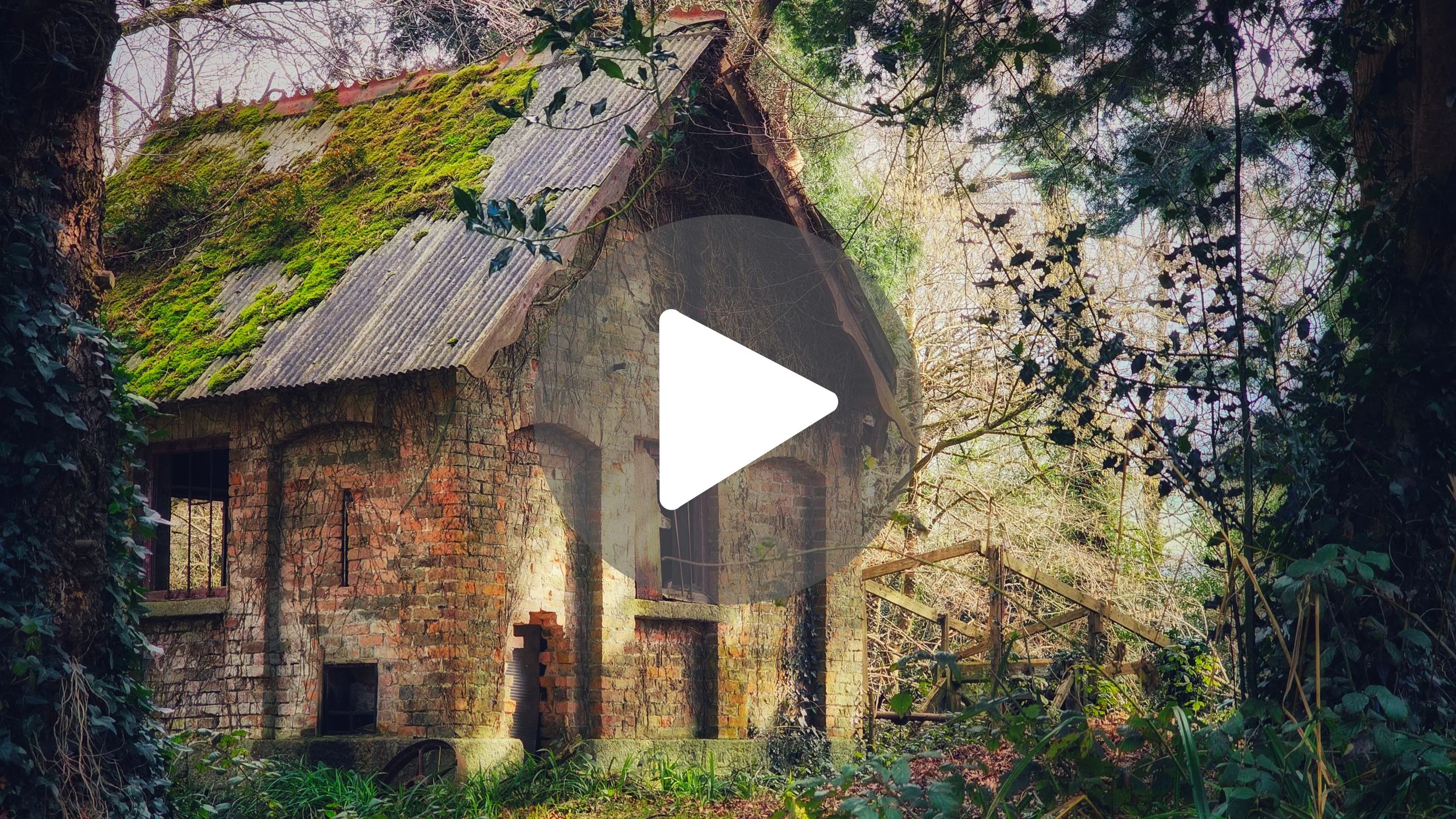 The Tiny Shed in Ireland That Held a 'Shocking' Secret ⚡️ (Huntington Castle)