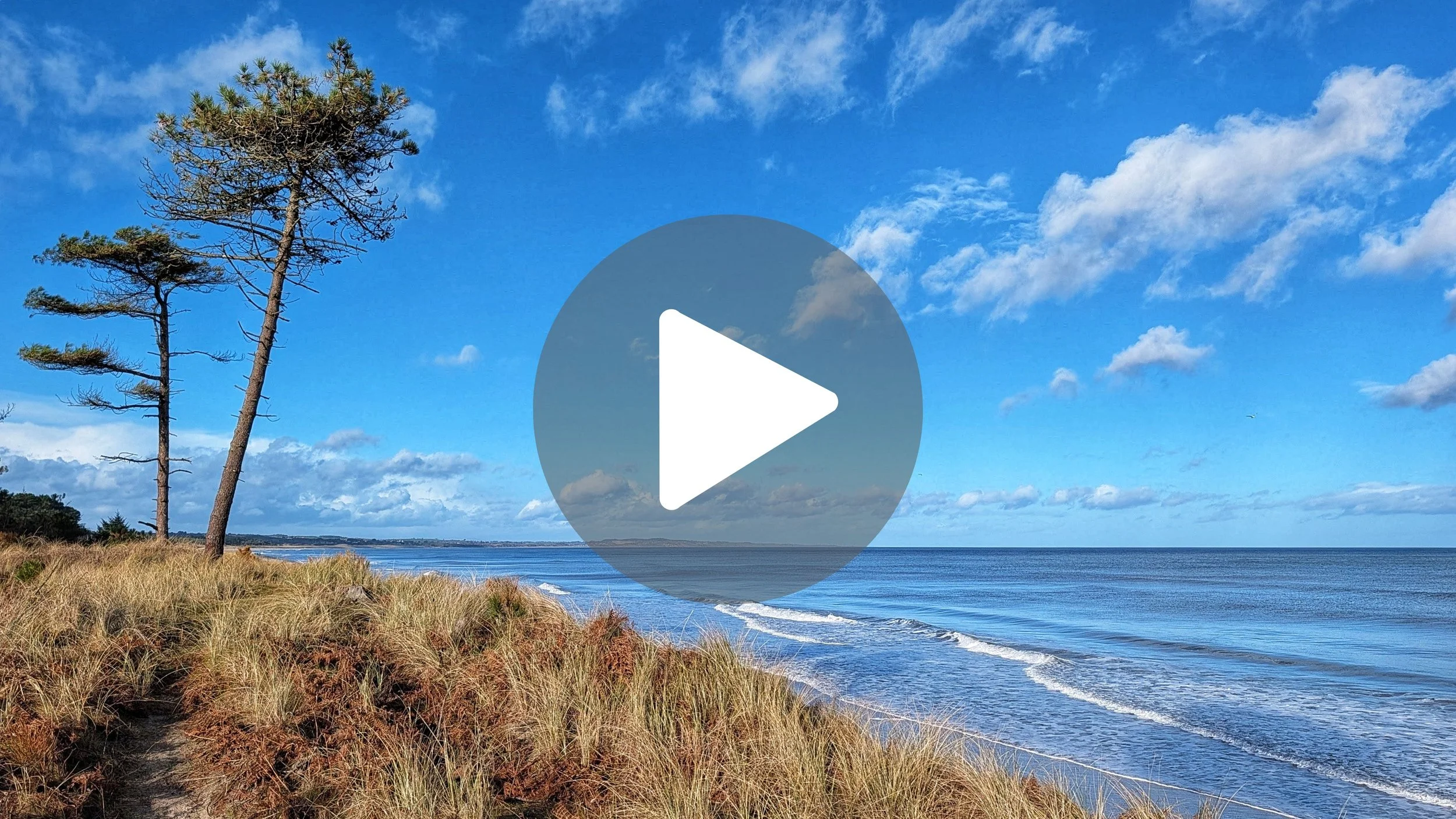 Ireland's Best Kept Secret? 🌲🌊 Raven Point, Wexford