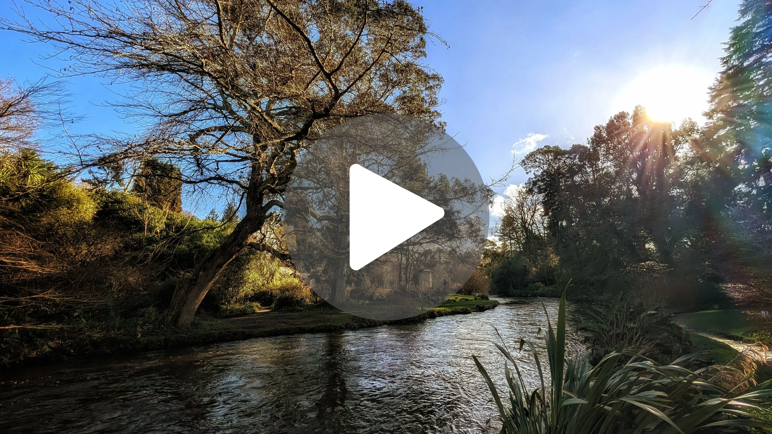Ireland’s Secret "Untamed" Garden 🌿🇮🇪 Springtime Vibes!