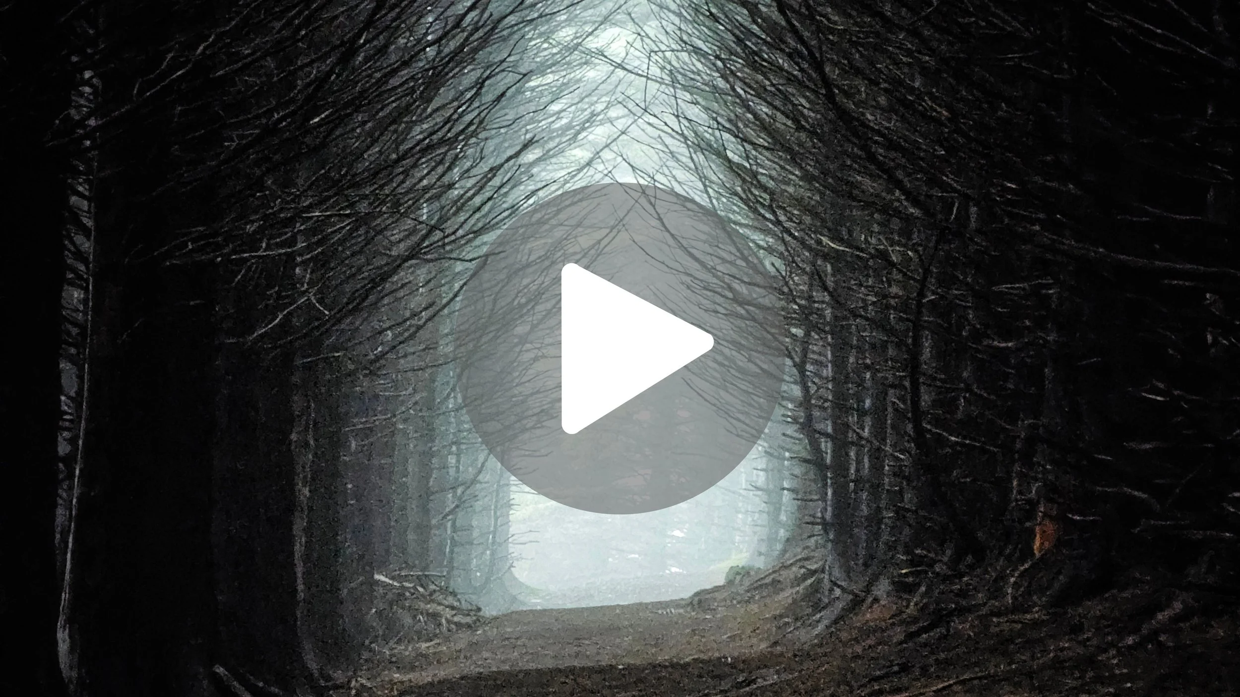 Real Life Middle-Earth in Ireland?! 🇮🇪💍