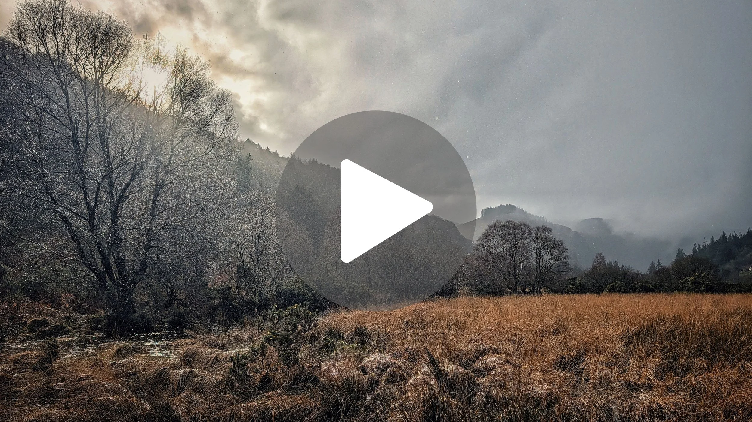 60 Seconds of Calm in an Ancient Irish Valley (ASMR) 🌧️