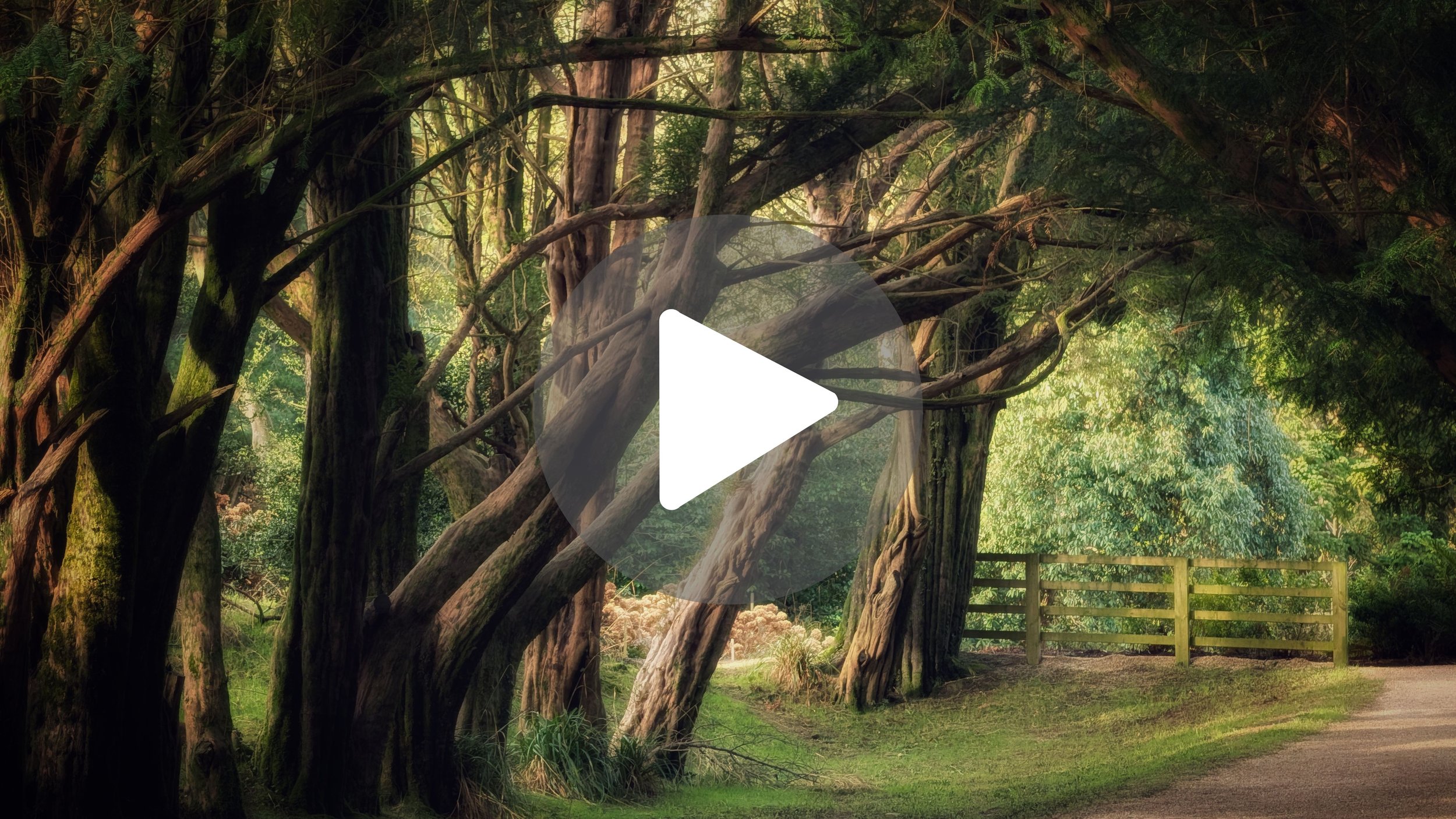 69 Seconds of Pure ASMR Calm 🍃 (Morning Walk at Kilmacurragh)