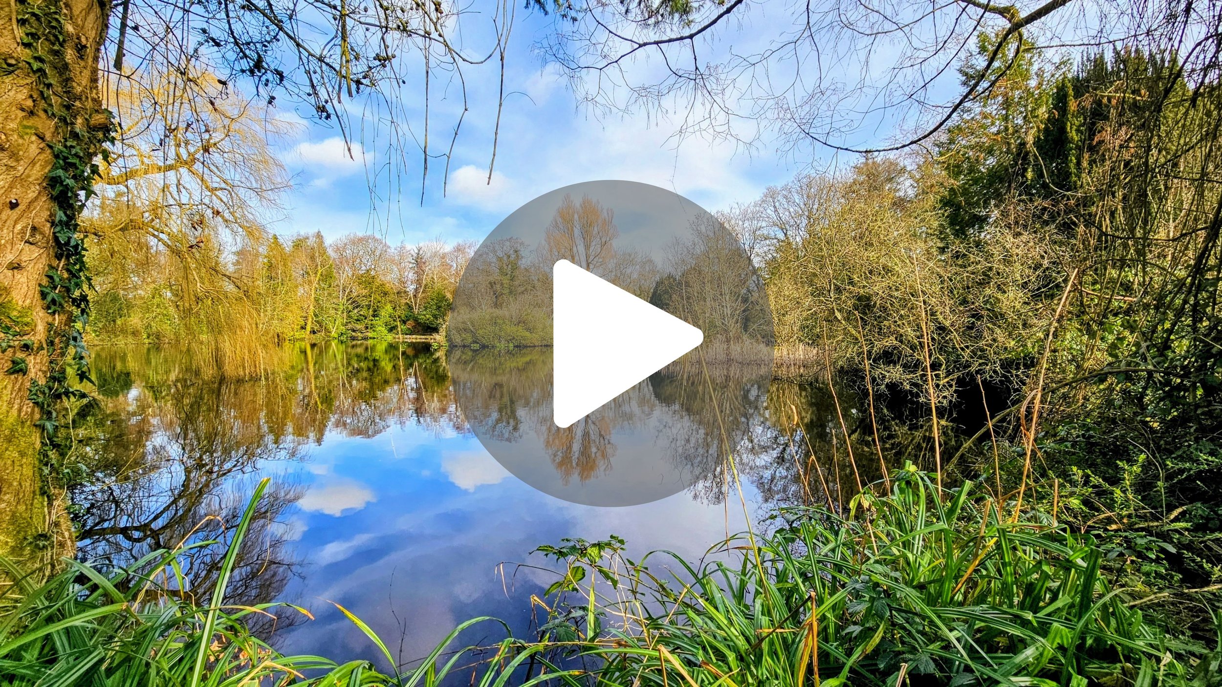 The Dark History of this Irish Garden Lake 💔 (Altamont Gardens)