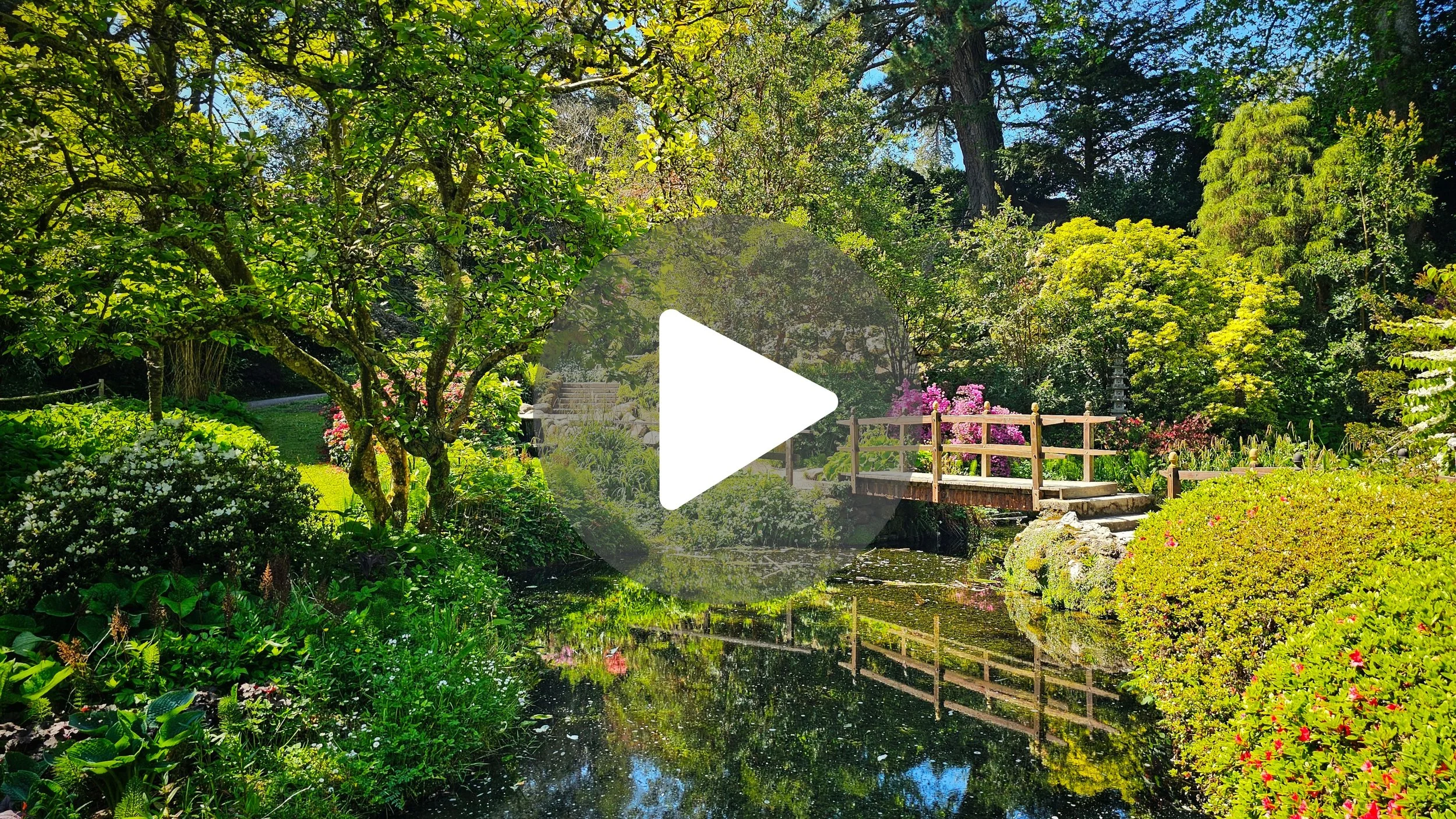 POV: You found the hidden Japanese garden at Powerscourt 🌿✨