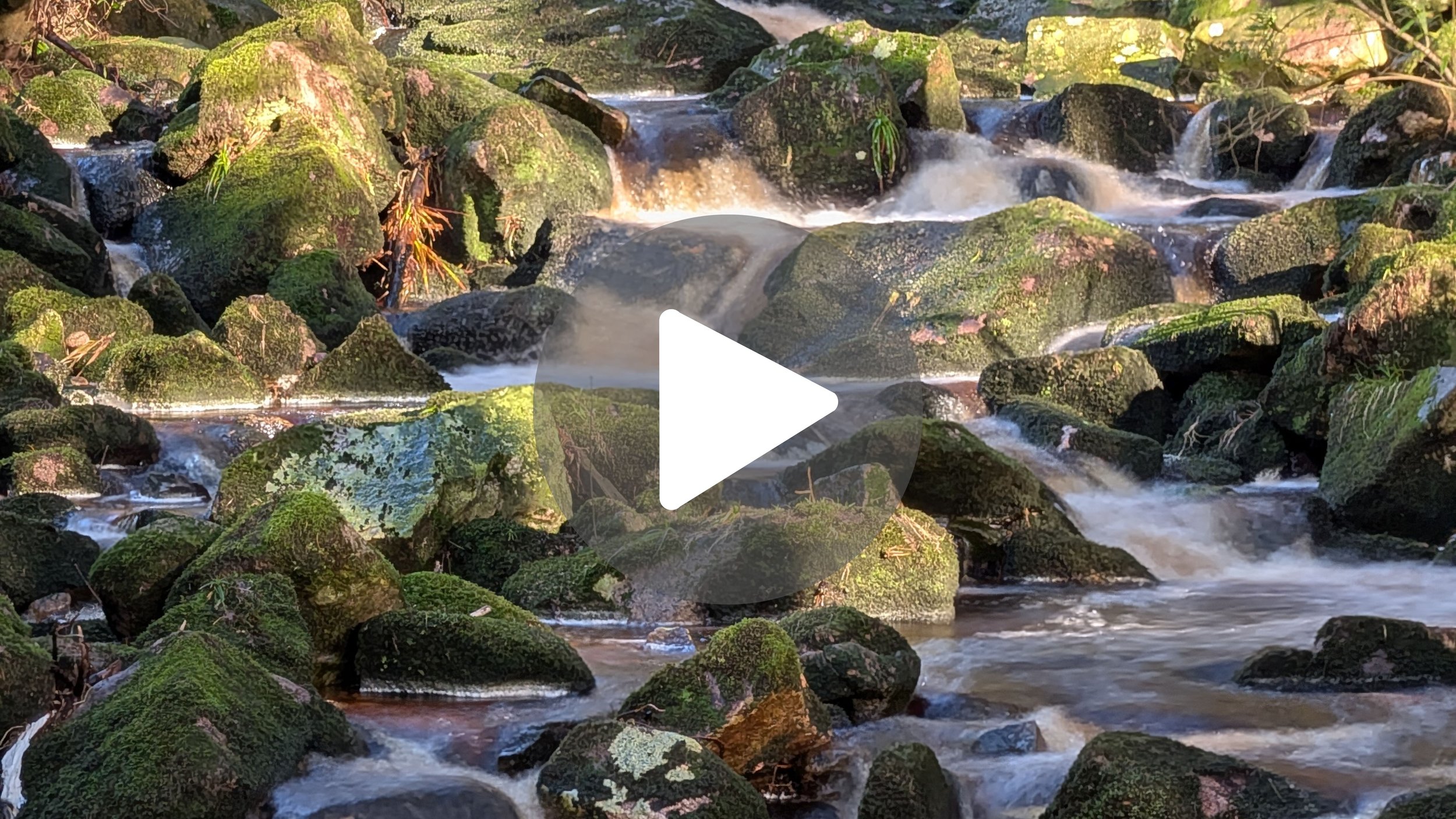 60 Seconds of Peace: Hidden Valley Cemetery in Ireland 🌿🇮🇪
