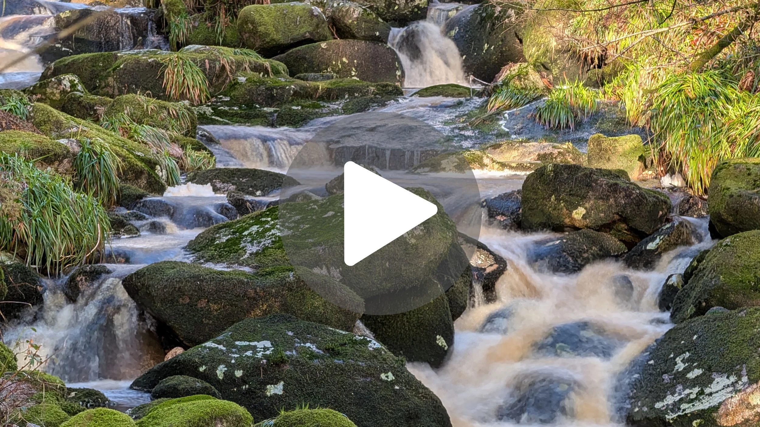Exploring near the Lourdes Grotto in County Wicklow 🇮🇪