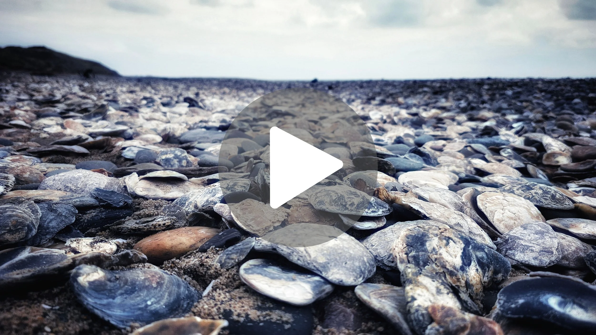 Ultimate Beach ASMR: A beach made of shells 🌊🐚