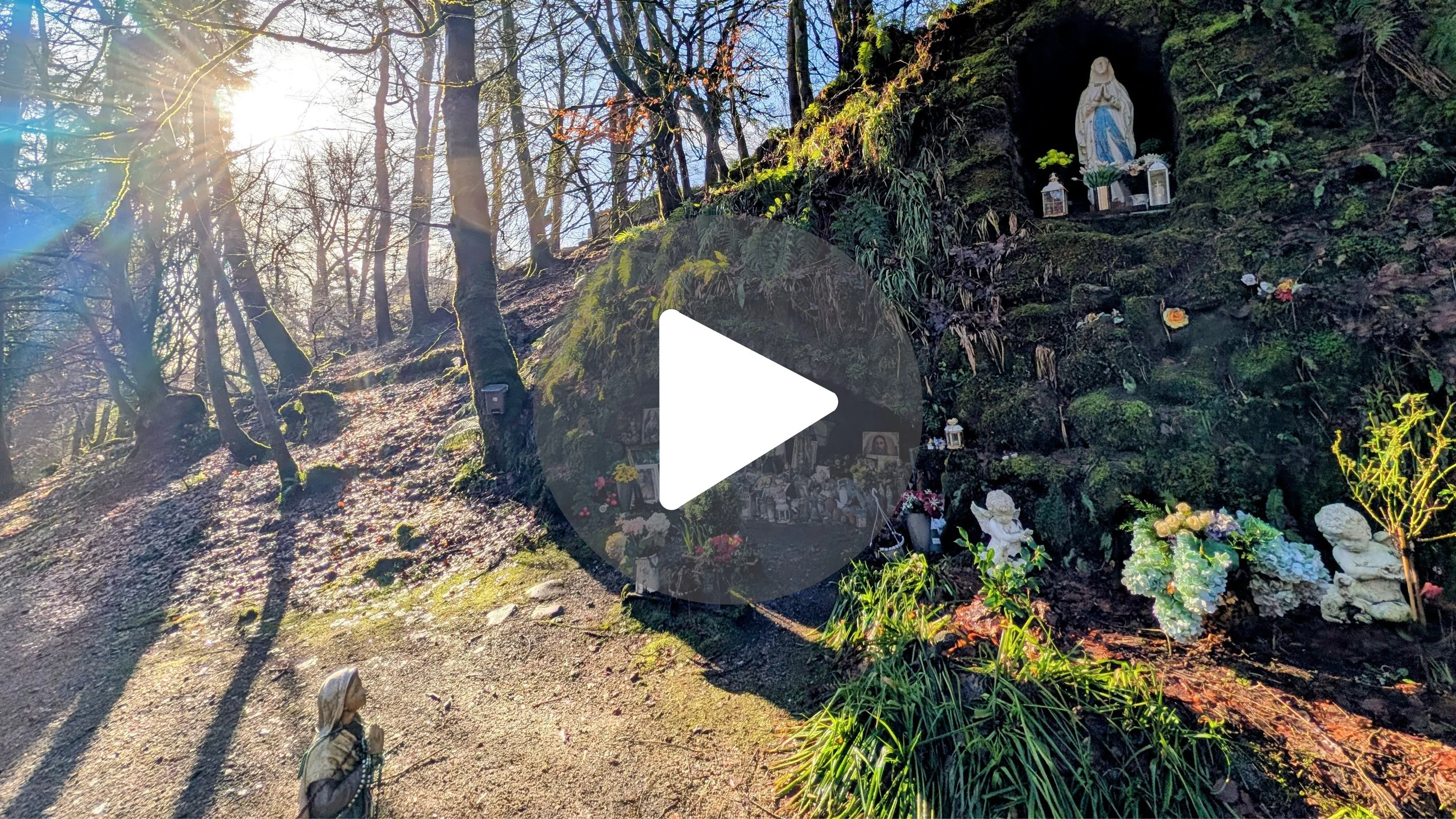 Ireland’s Hidden ASMR Sanctuary: Glencree Valley Grotto 🌿